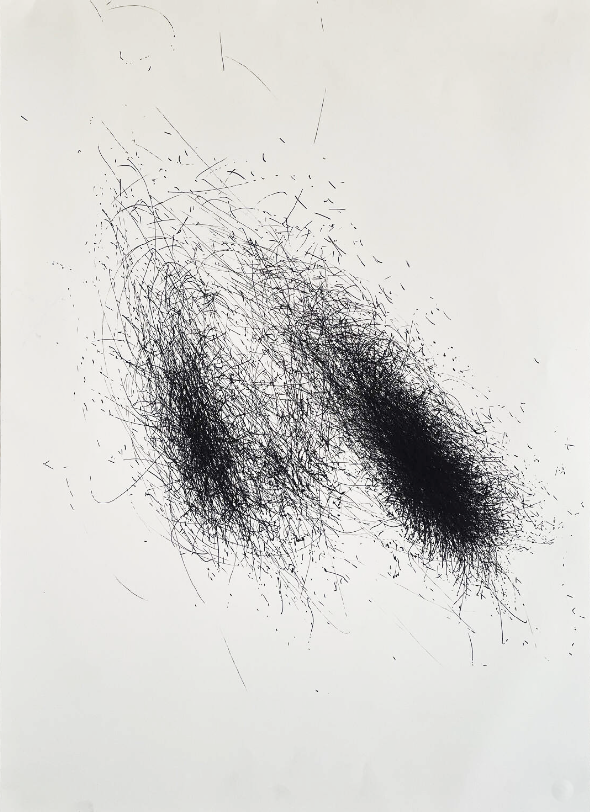 Screen Shot 2024-08-06 at 8.47.57 AM.png