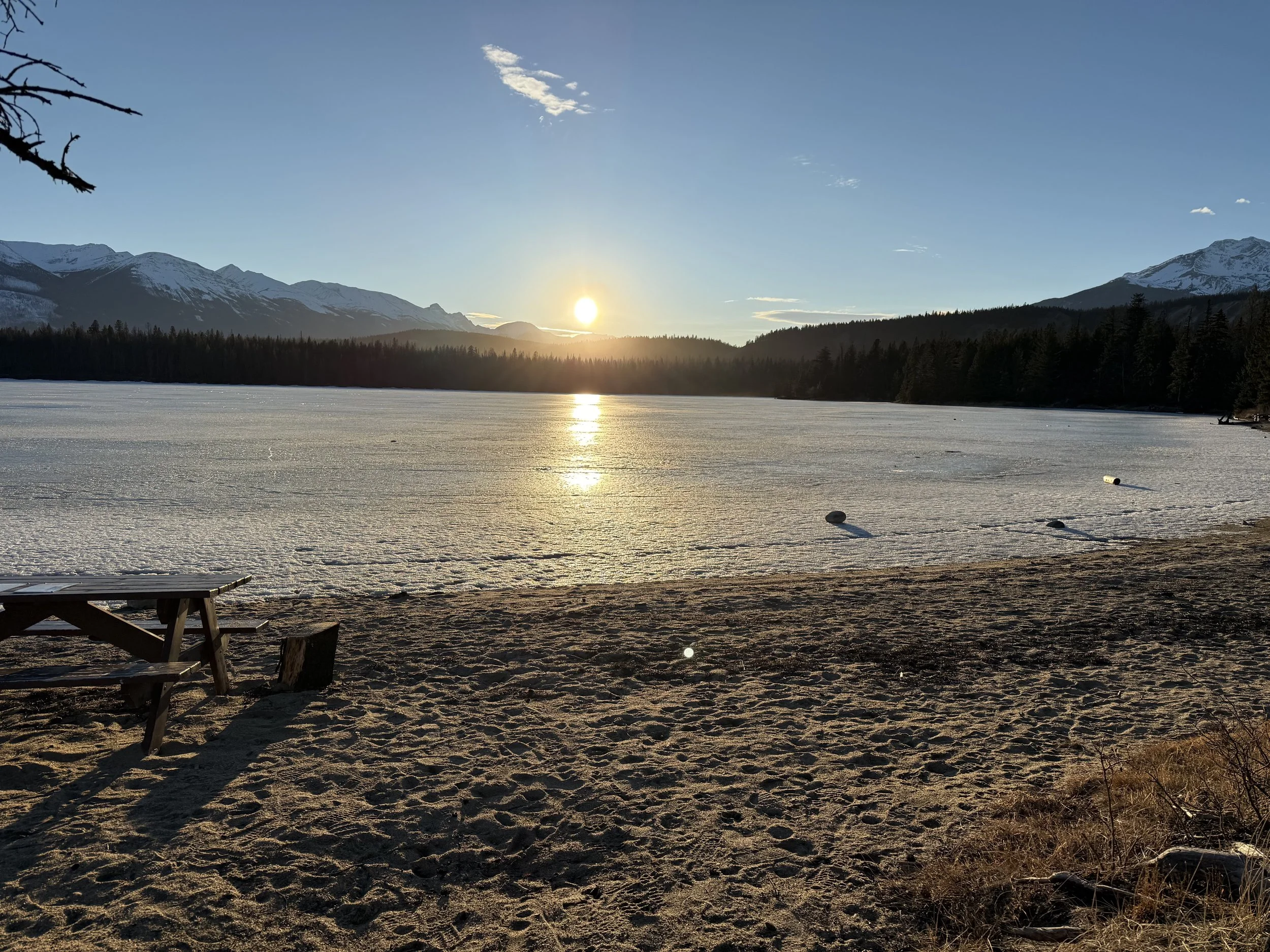 when you lose your job