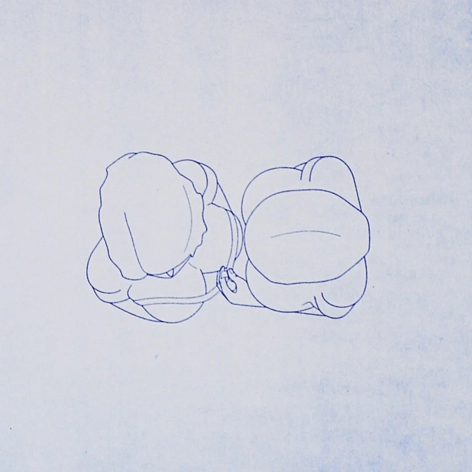 BLUEPRINT DRAWINGS & | PAINTINGS| 2004-07