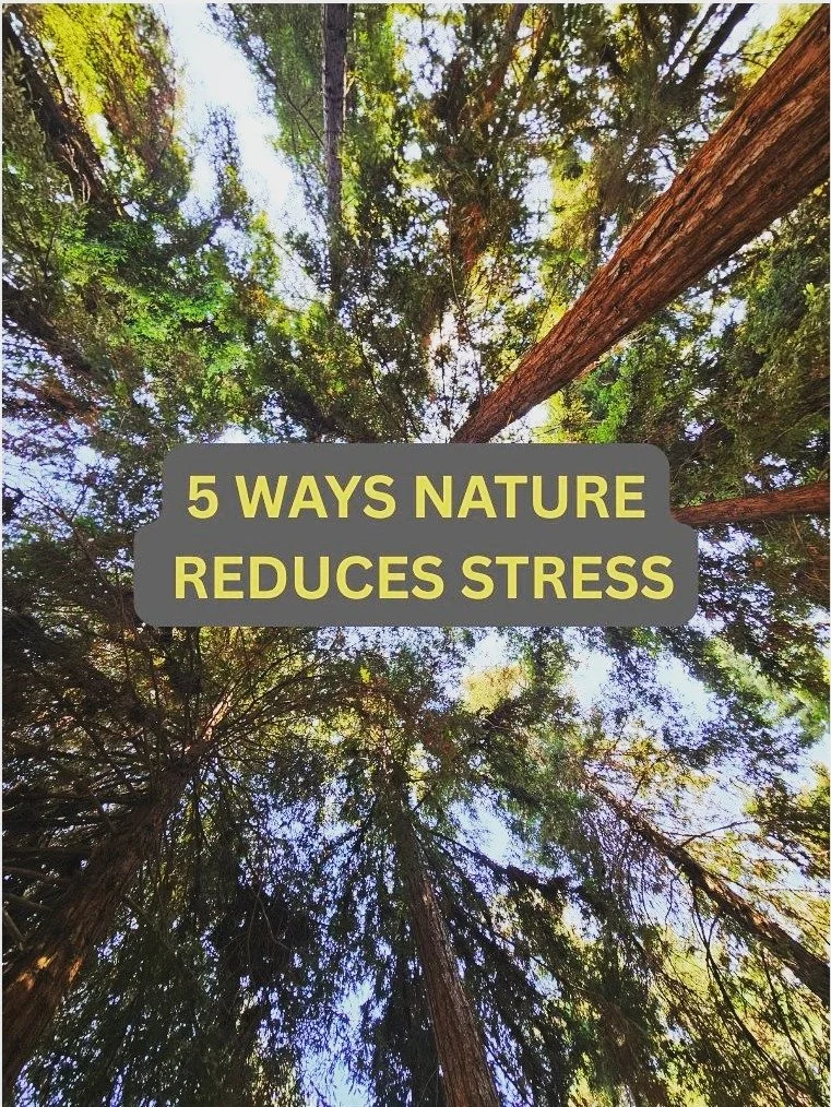 Stress melts away among the trees 🍃 and other pieces of nature 🌊Which of these resonates with you most?

#socalwellness #mindfulinnature #nature #naturelovers #forestbathing #naturetherapy