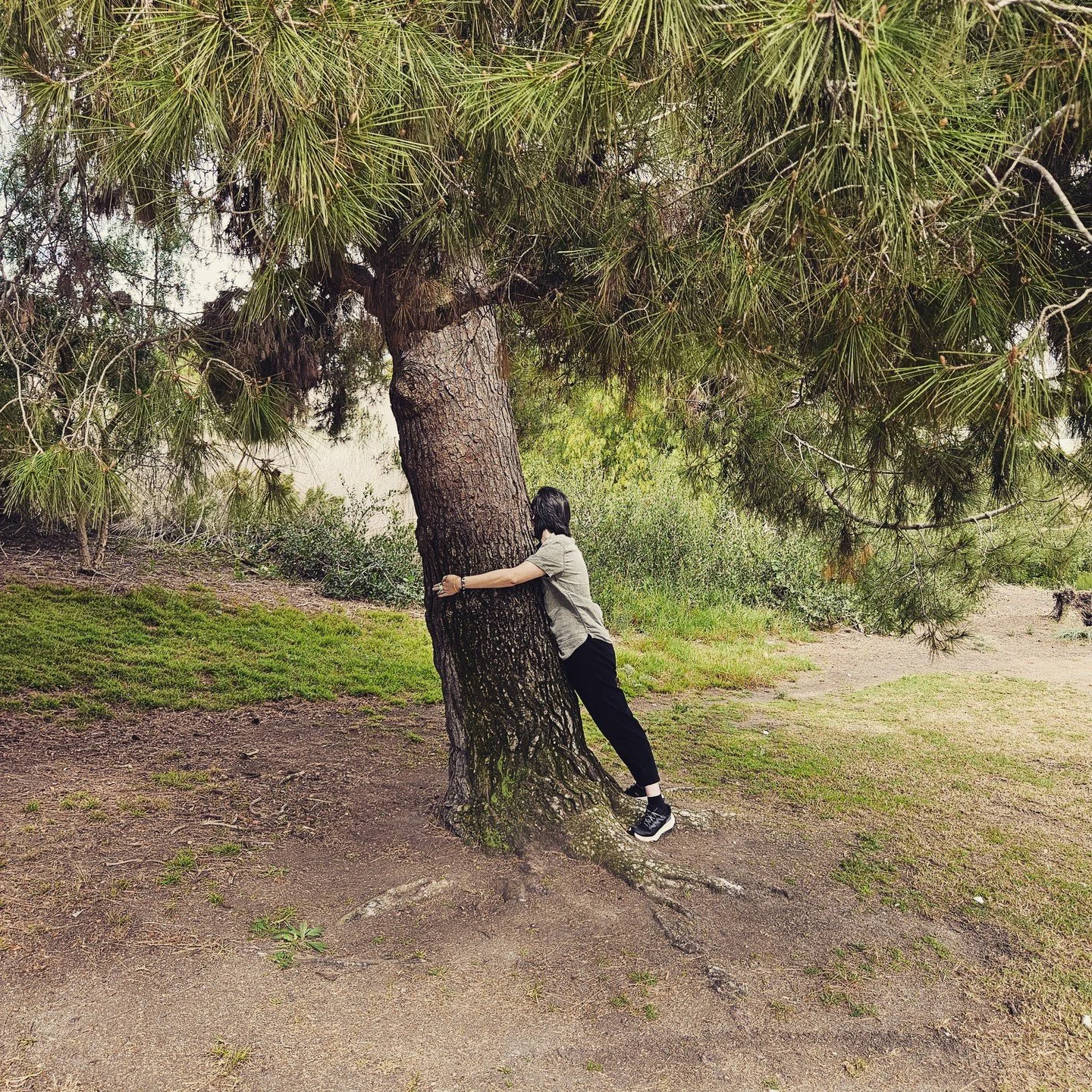 This is what peace looks like...

&quot;I've never hugged a tree before, so I just wanted to try it. After a few moments I didn't want to let go&quot;

#naturetherapy🌿 #foresthealing #forestbathing #peace