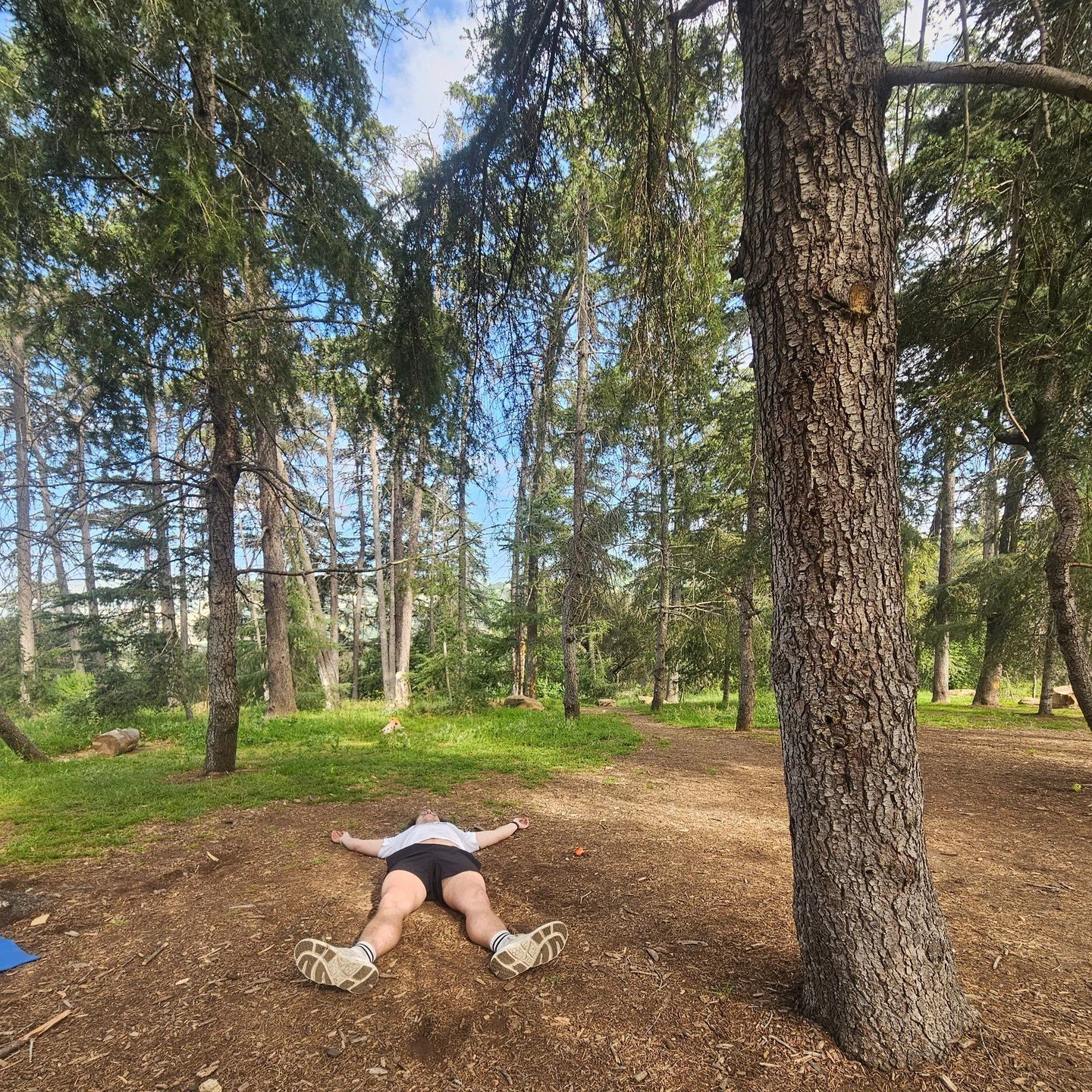 Just over a week ago, I again had the privilege of leading another Forest Bathing session in partnership with @ltsc_changingtides . 

We sat in a peaceful spot, on a Sunday morning, amongst the trees in Griffith Park. The group found calm beneath the