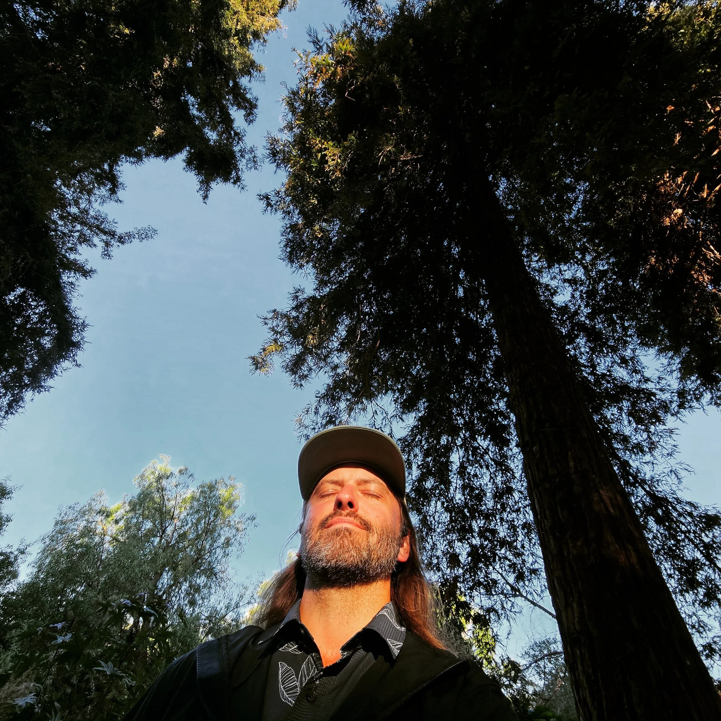 That Triple F: Friday Forest Feeling 🌲🌲🌲