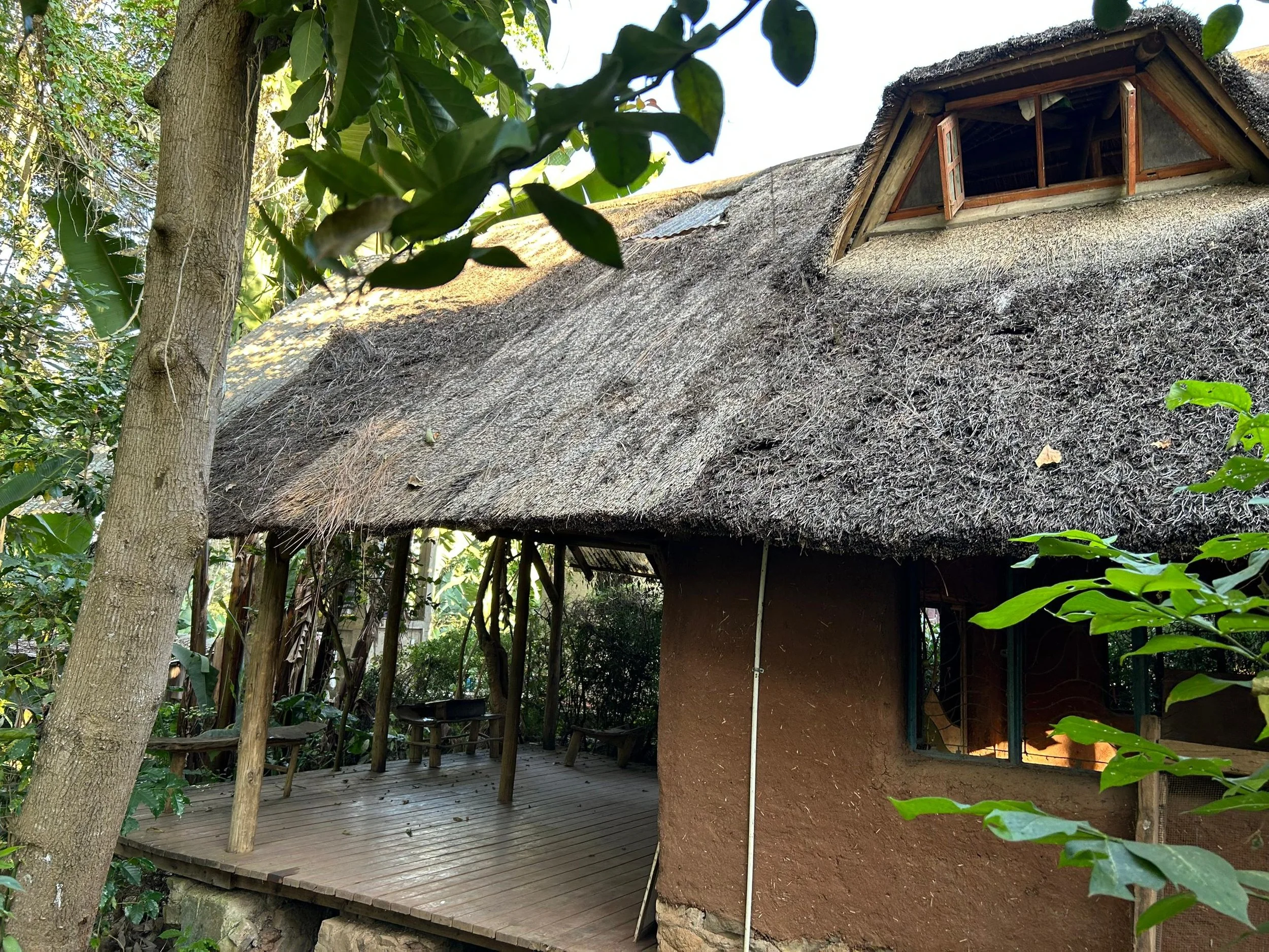 Our rustic house with a thatched roof and open window, surrounded by trees and foliage.