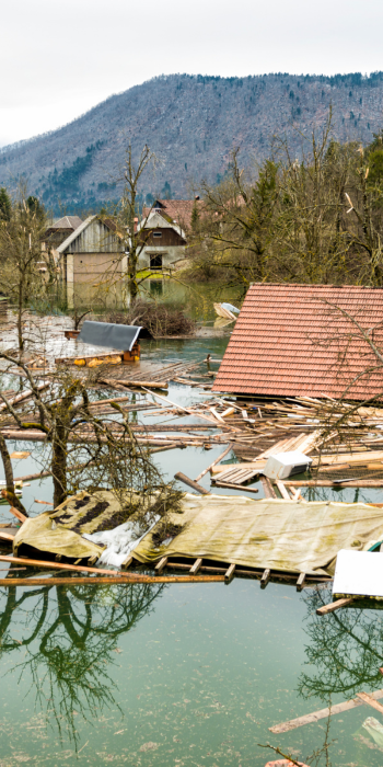 Firm Resolutions 05.png