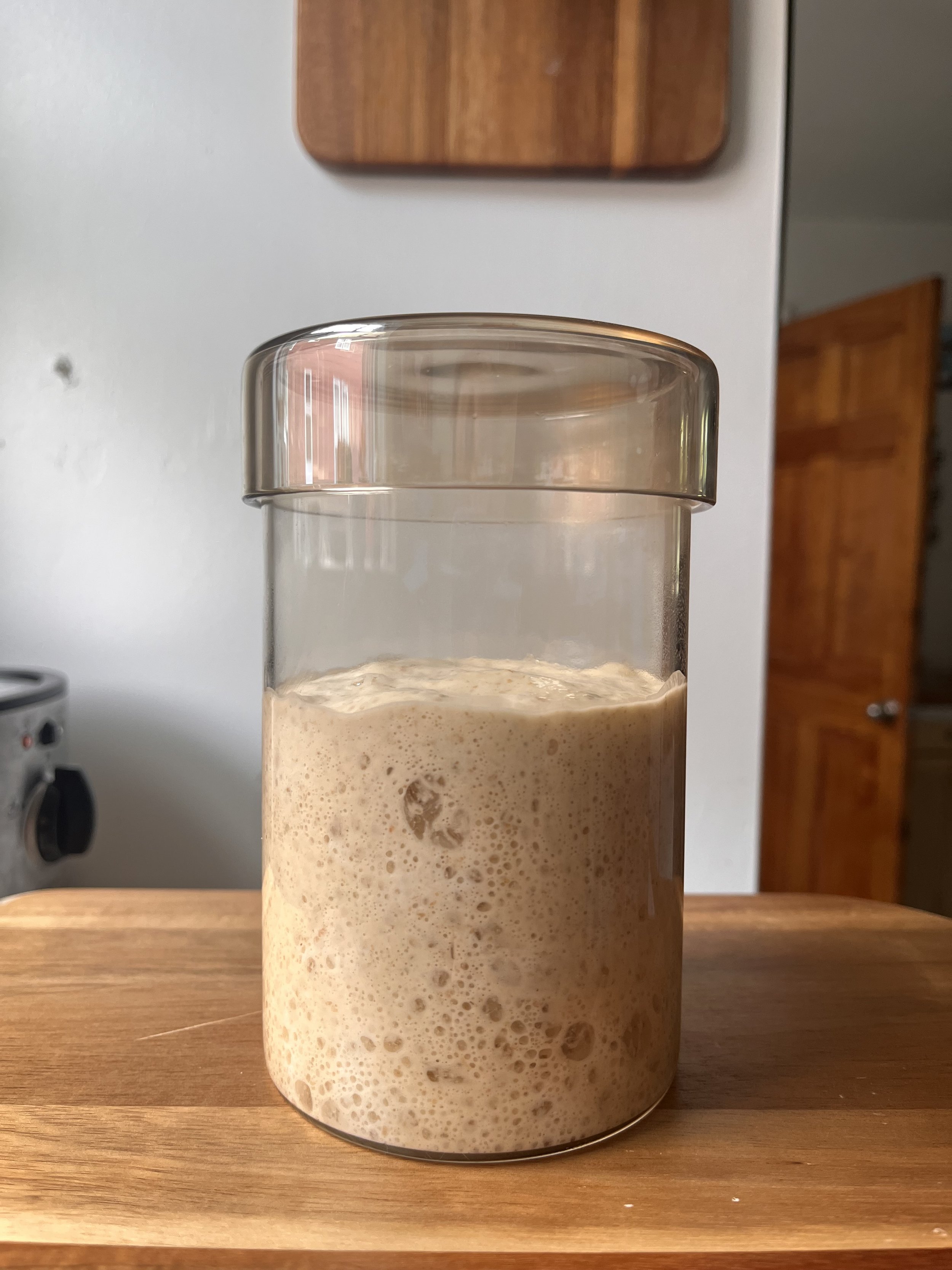 Sourdough Starter, Dehydrated