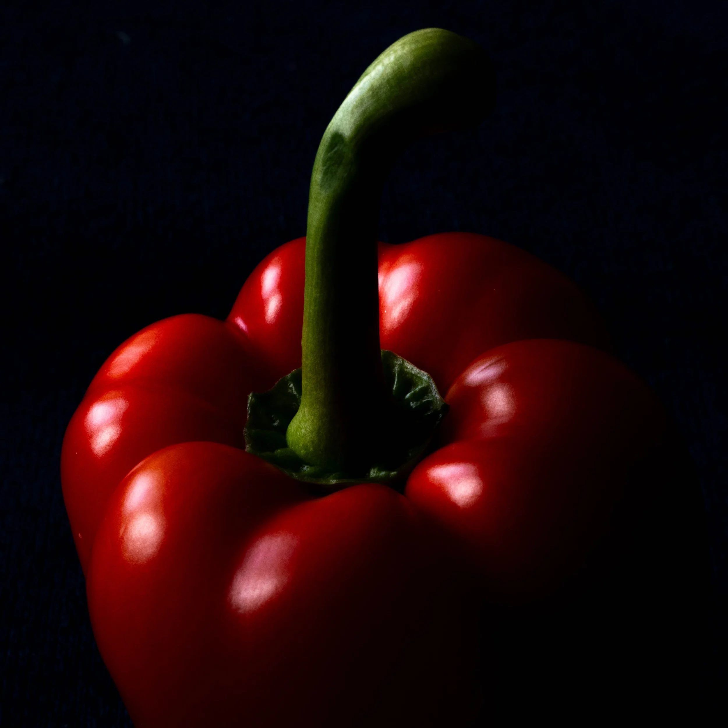 What makes a great photomarathon photo?