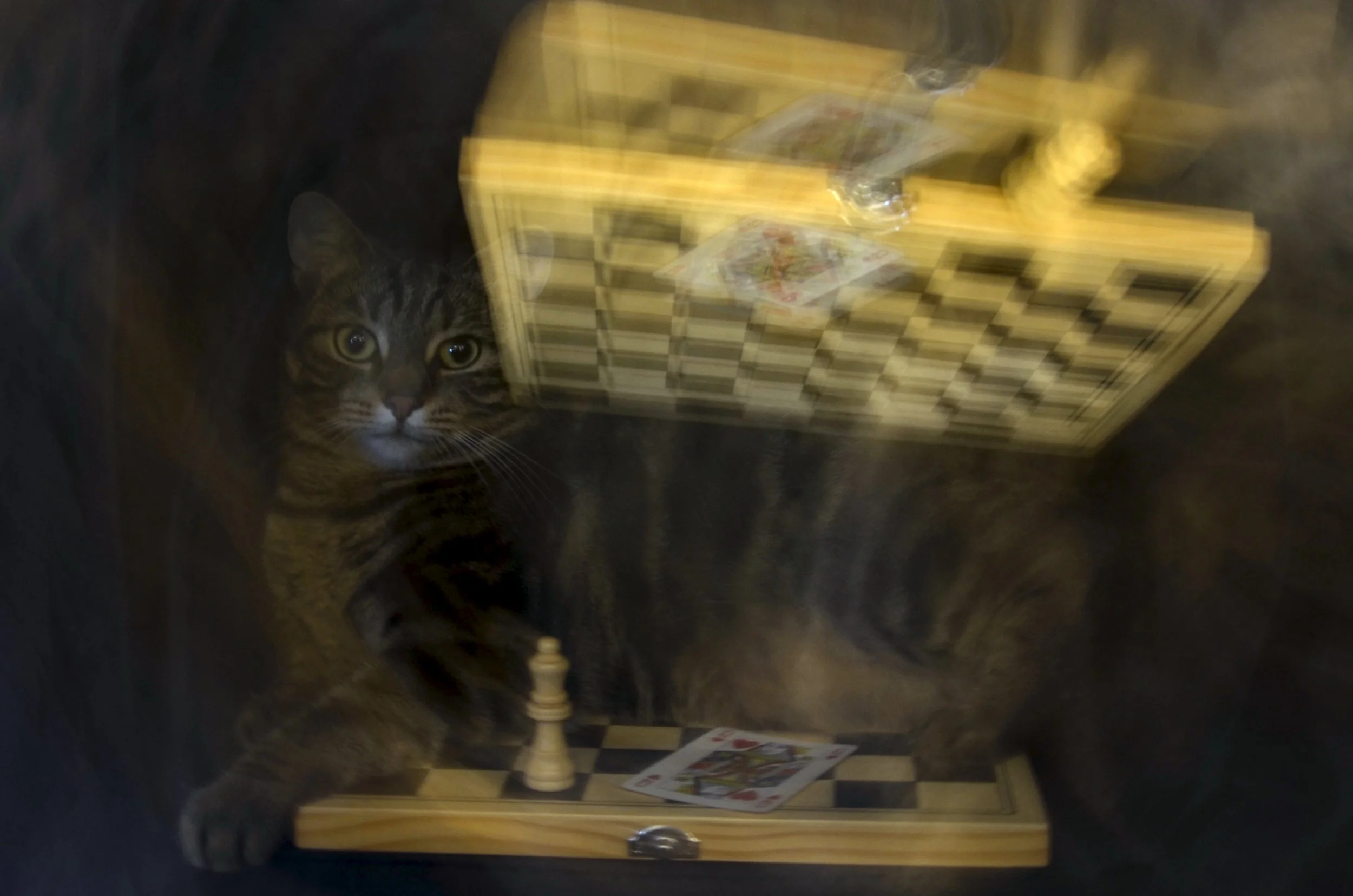Topic 3 - Through the Looking Glass