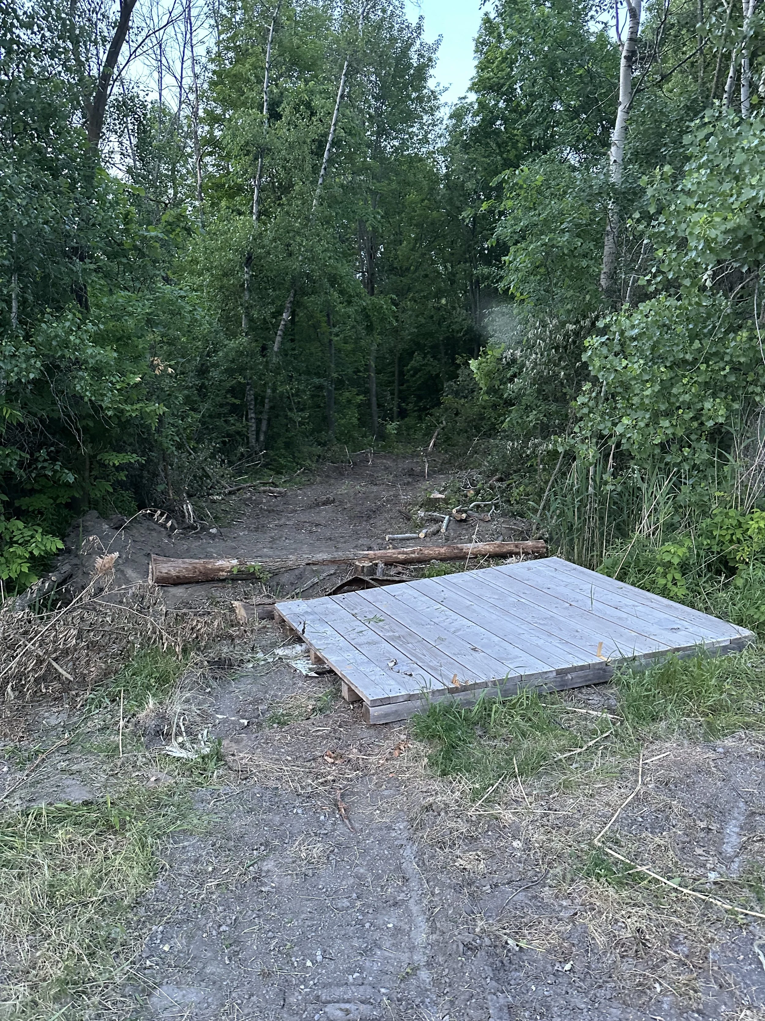 🌲 L’appel de la forêt – Nos premiers pas à la Ferme Double Instinct