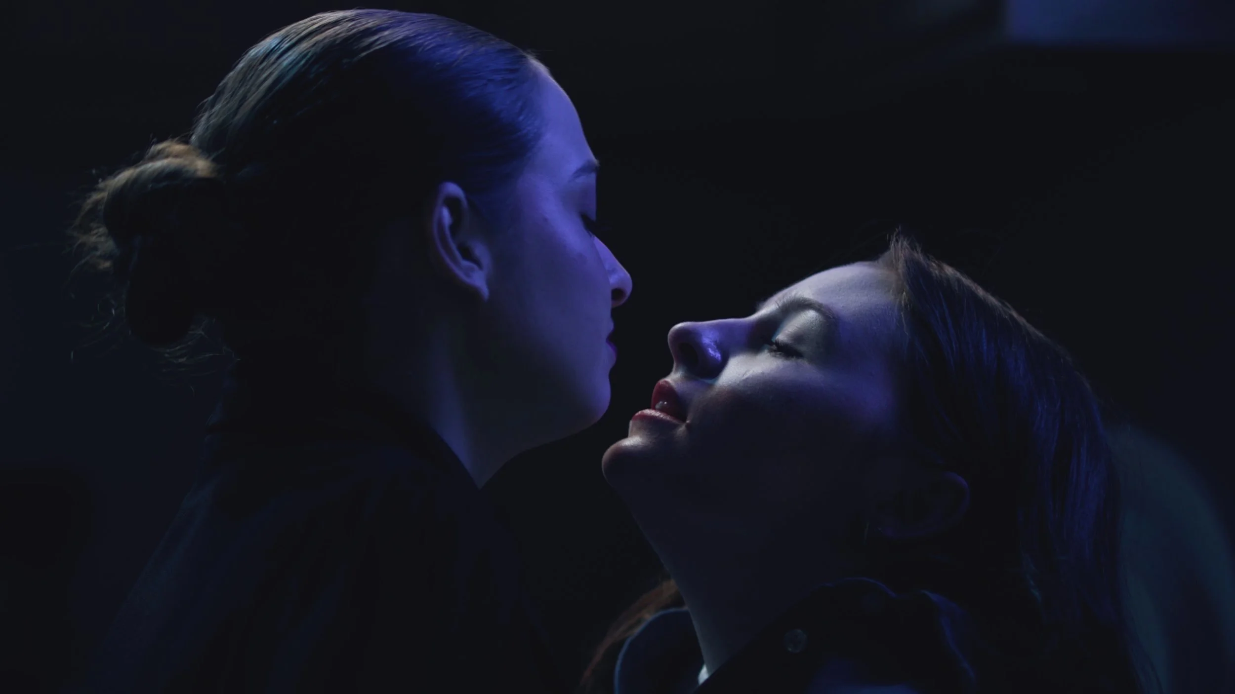 Website Background.jpg