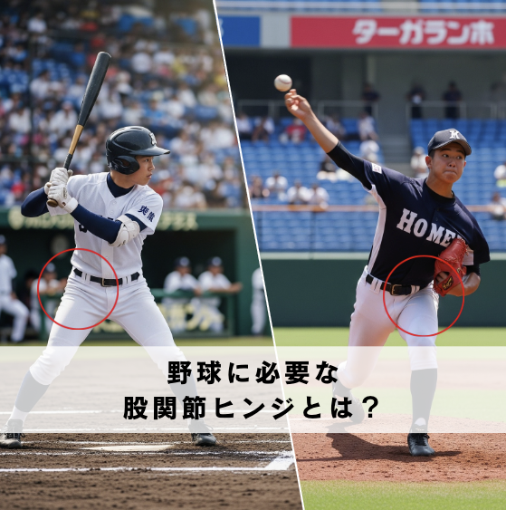 【野球で必要な“股関節ヒンジ”とは?!】