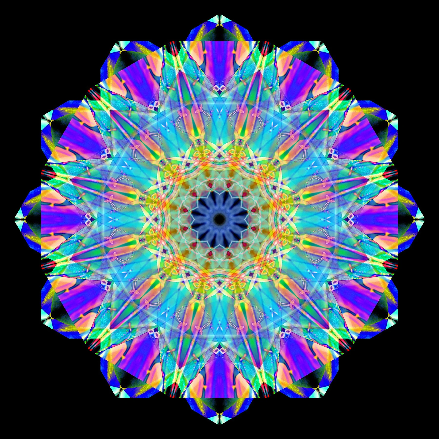 487826879_1222887433177071_4257426957952299757_n.jpg