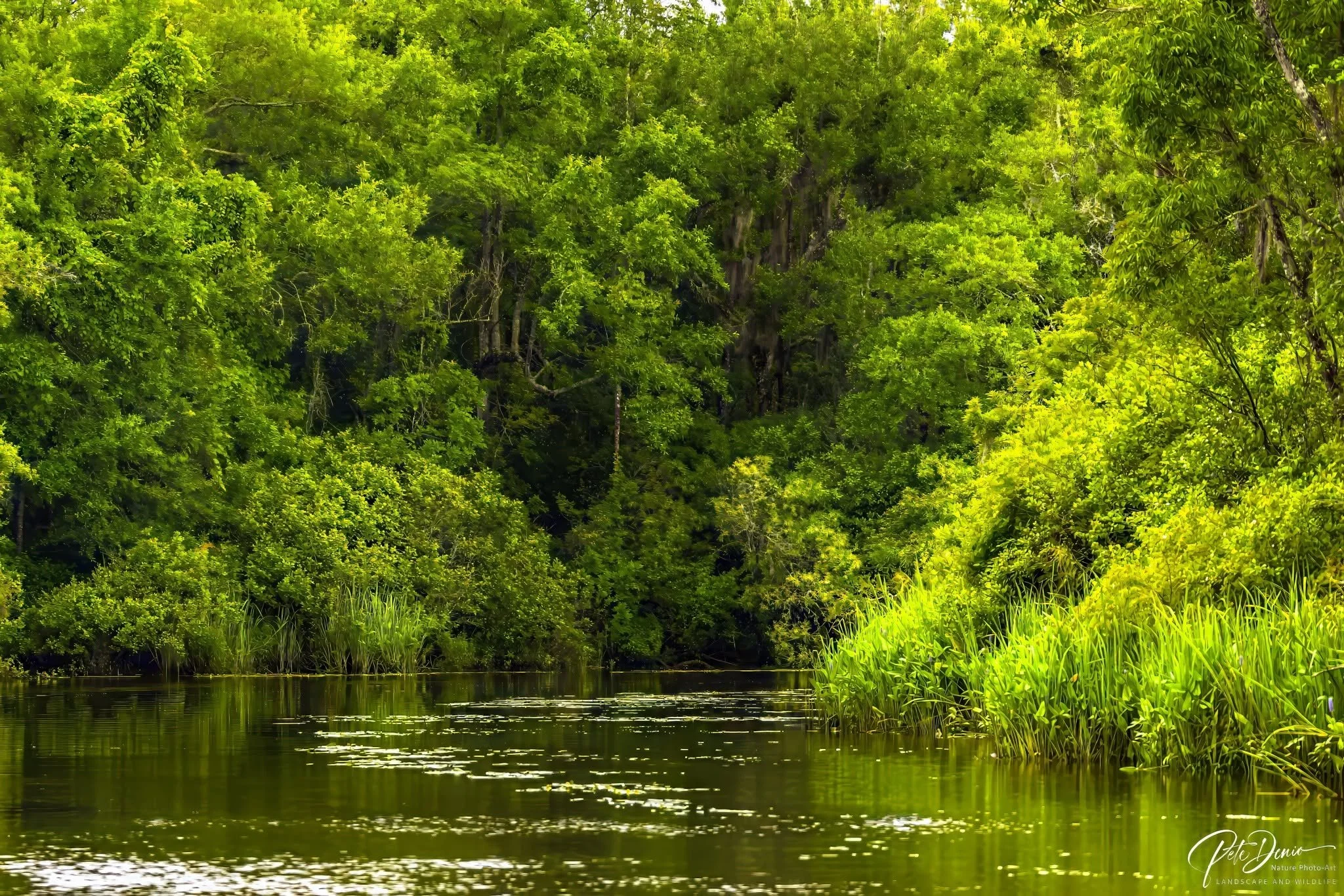white-creek.jpg