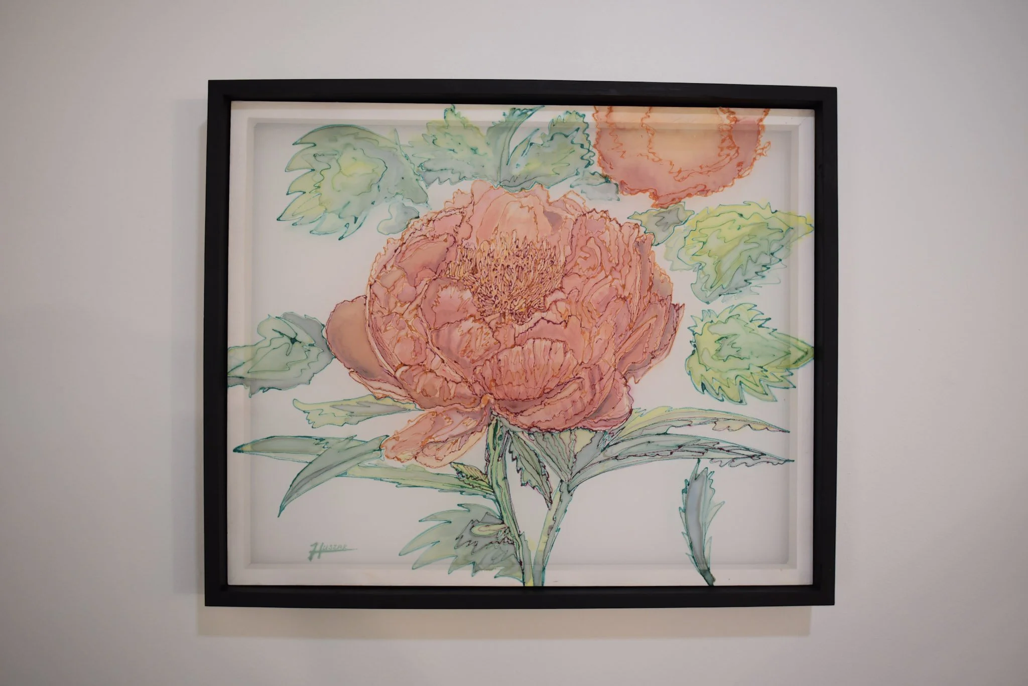 Peony transport.jpeg