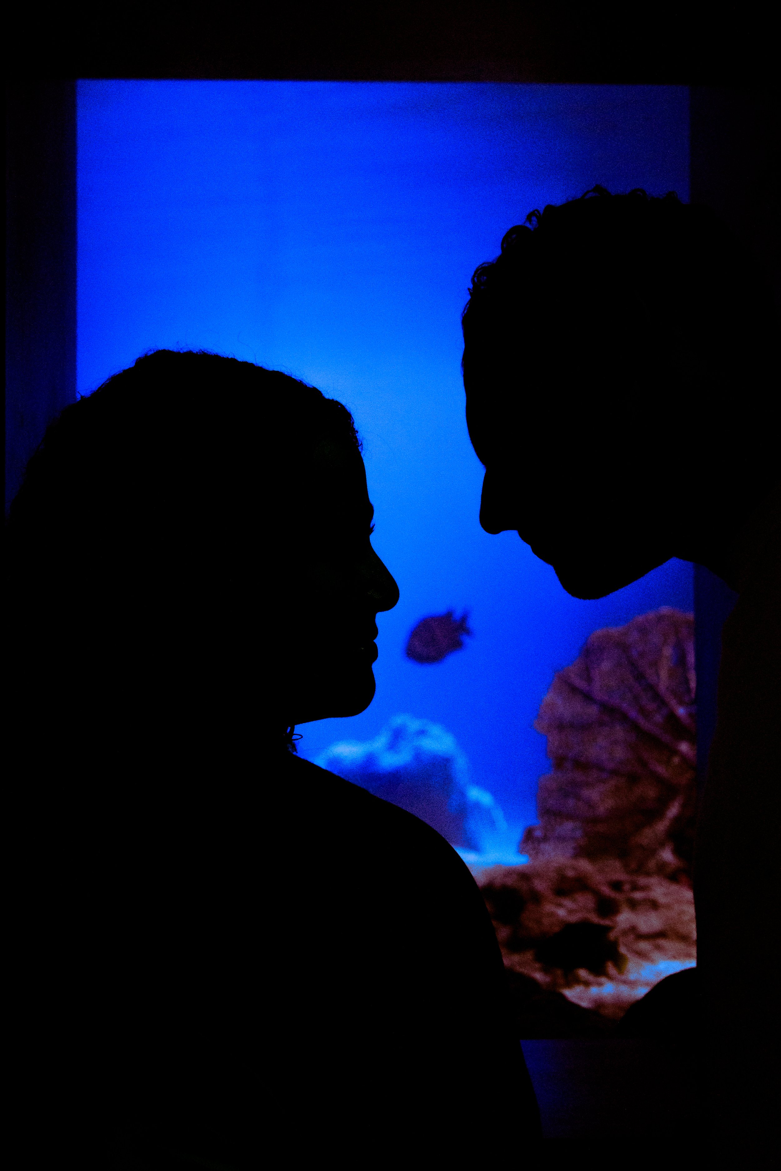 Silhouettes of a man and woman facing each other against an aquarium backdrop with blue water, rocks, and a fish.