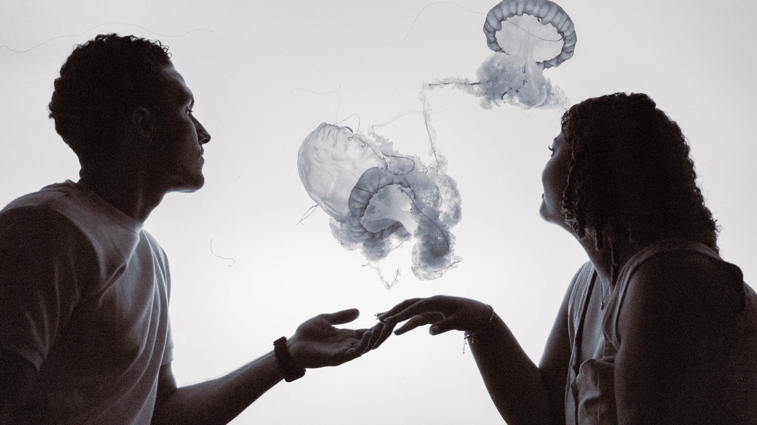 Silhouettes of a man and a woman facing each other against a bright background with artistic smoke or ink in the air between them.