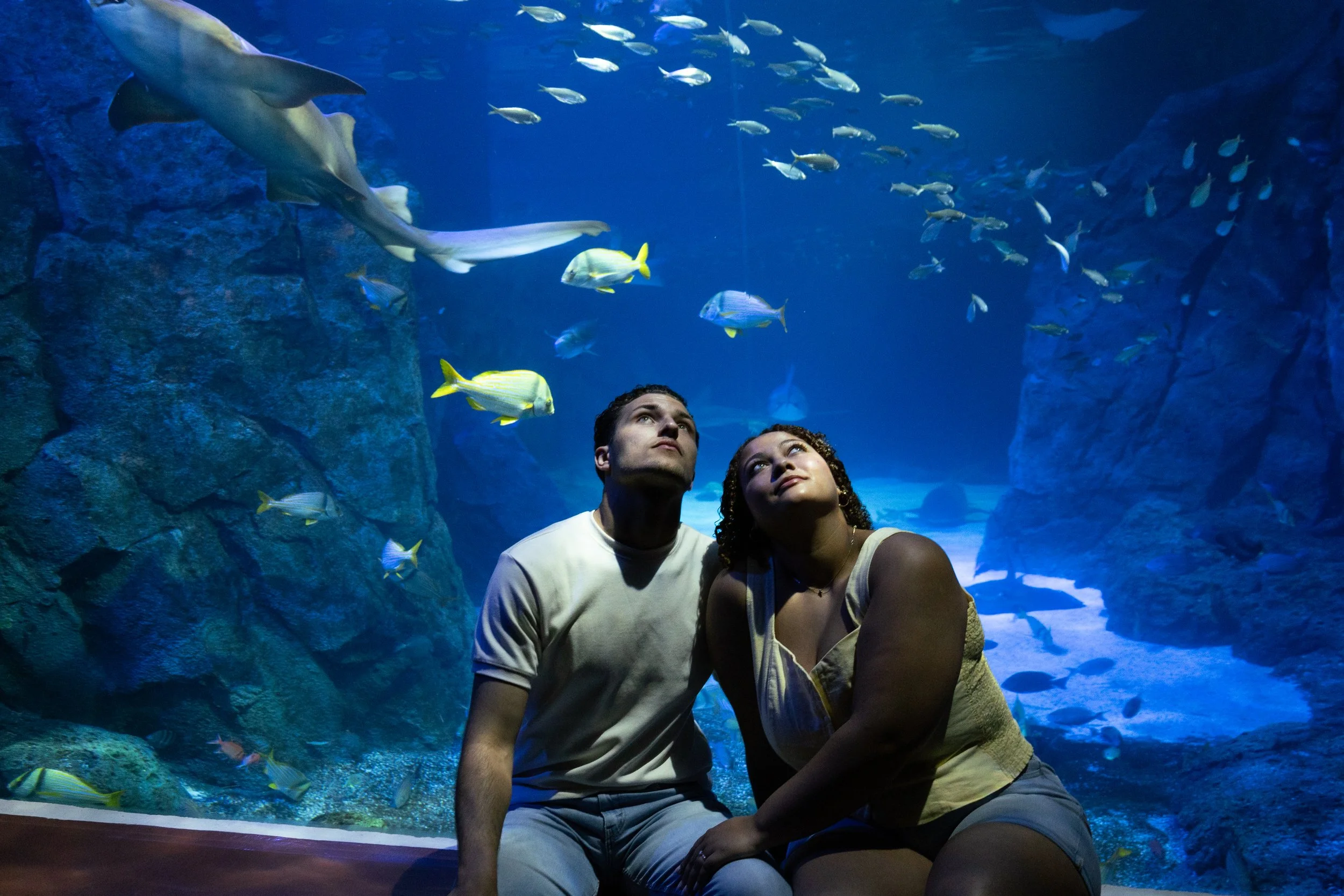 A young couple sitting in front of an aquarium tank filled with colorful fish and rocks.