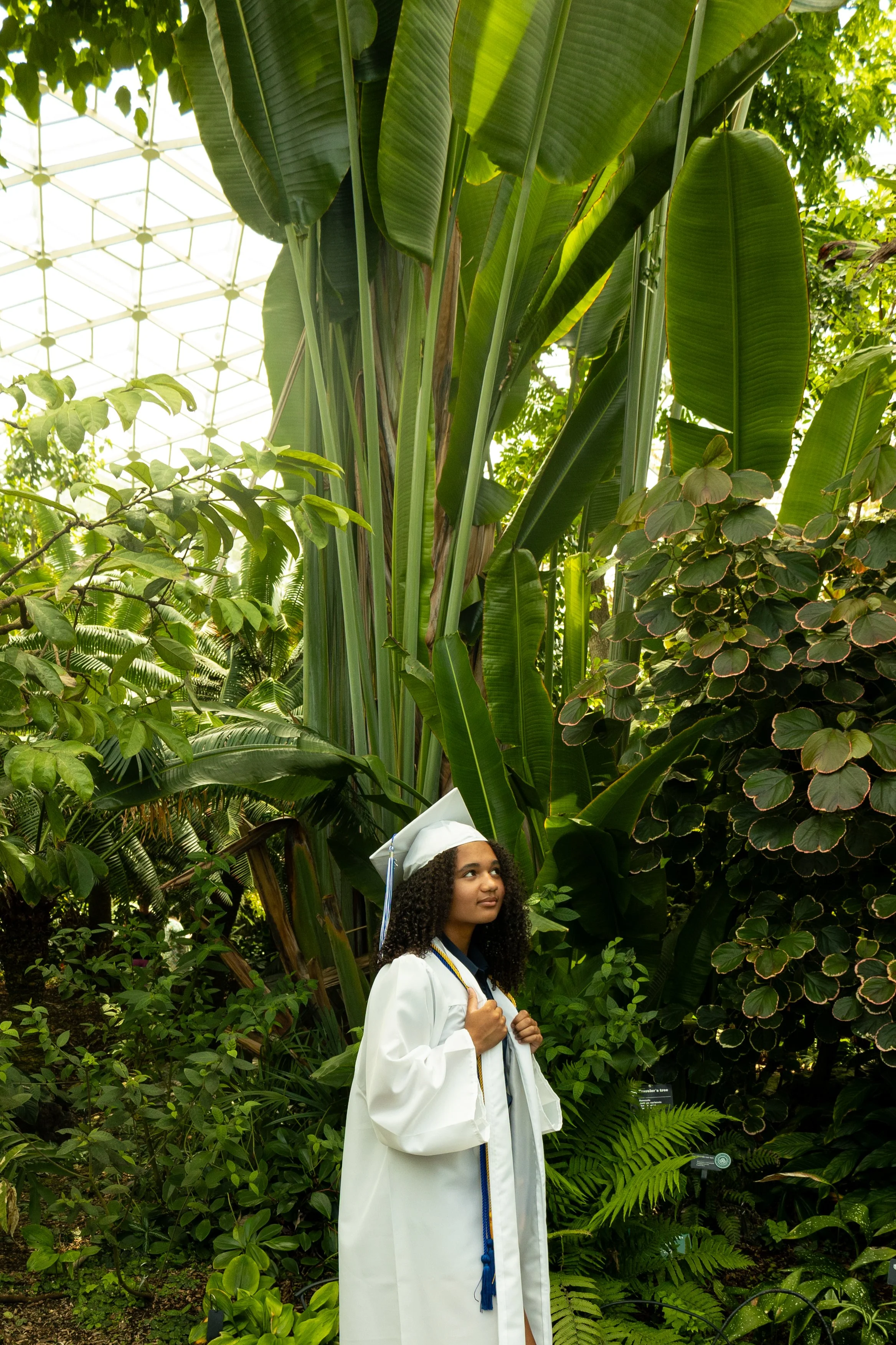 Young woman in a white graduation gown and cap standing among lush green tropical plants.