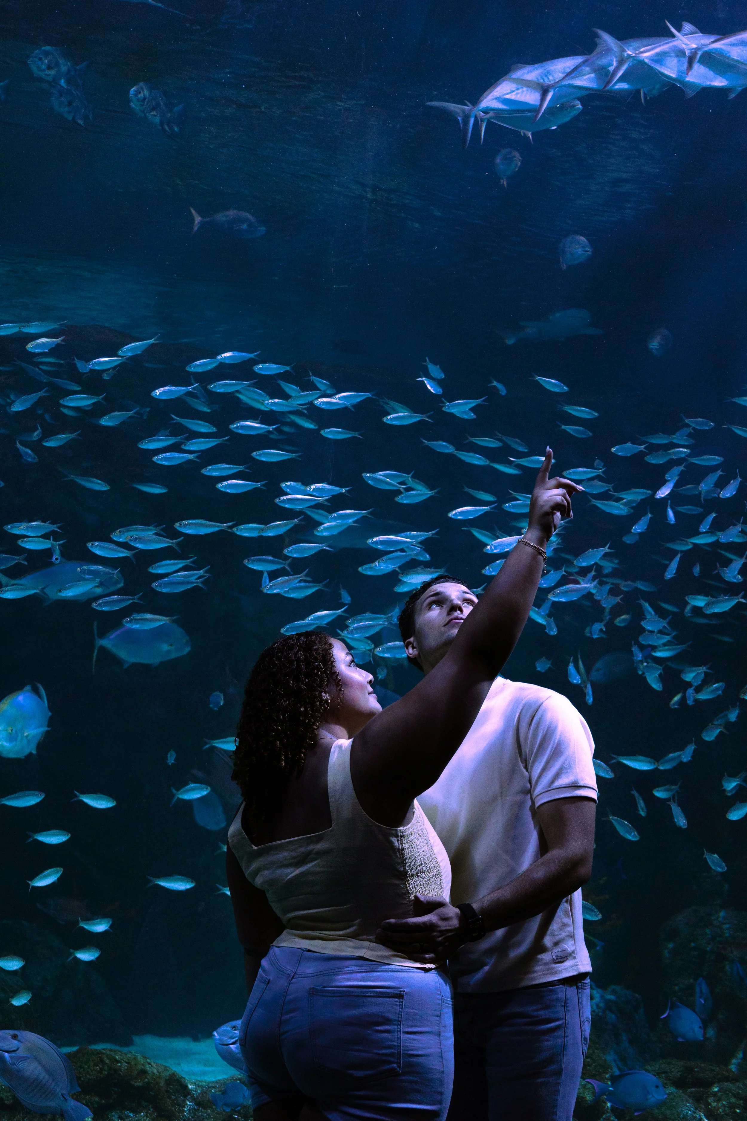 A couple looking at and pointing towards fish and rays swimming in an aquarium tank.