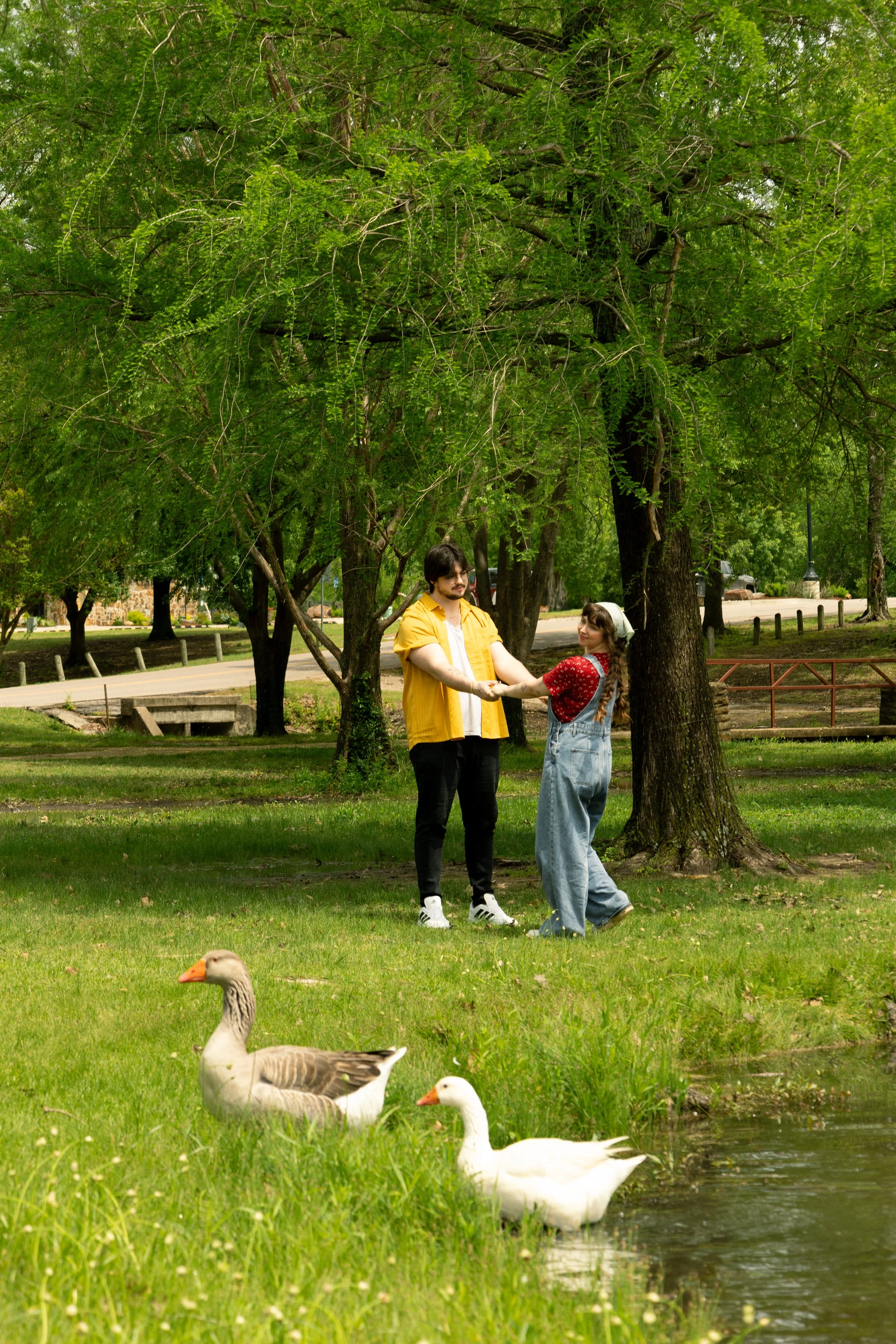 A young man and woman standing on grass near a tree in a park, holding hands and facing each other, with a pond and ducks in the foreground.