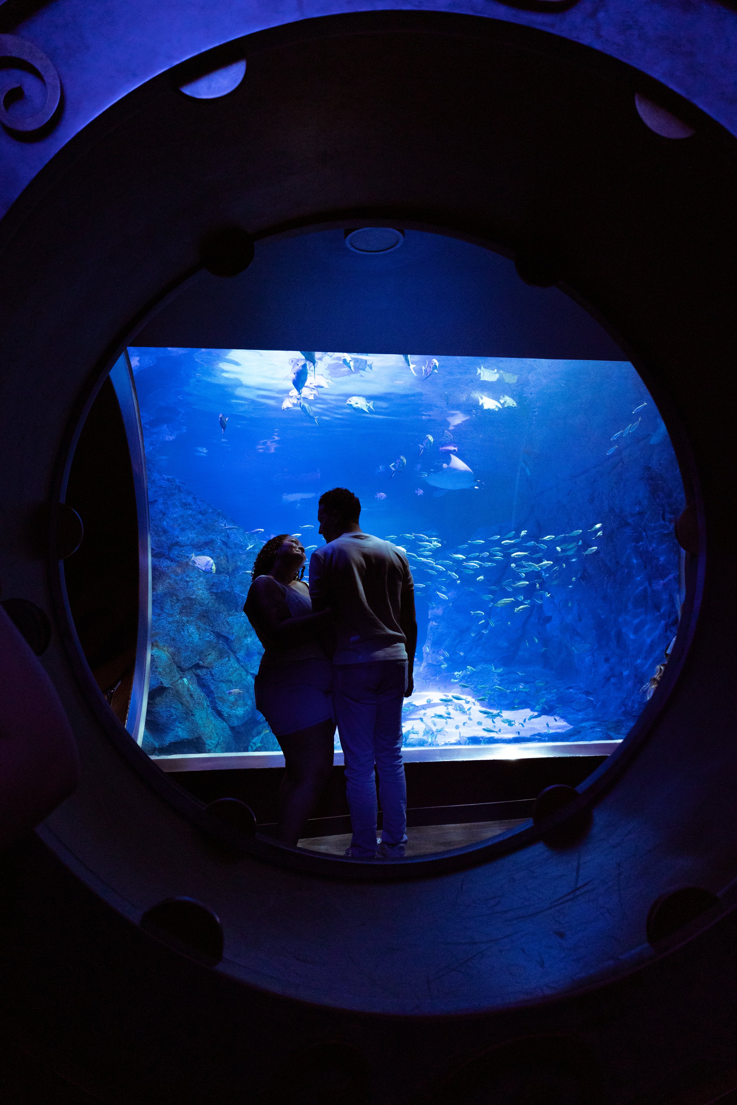 A silhouette of a couple standing in front of a large aquarium tank filled with fish, viewed through a circular porthole window.