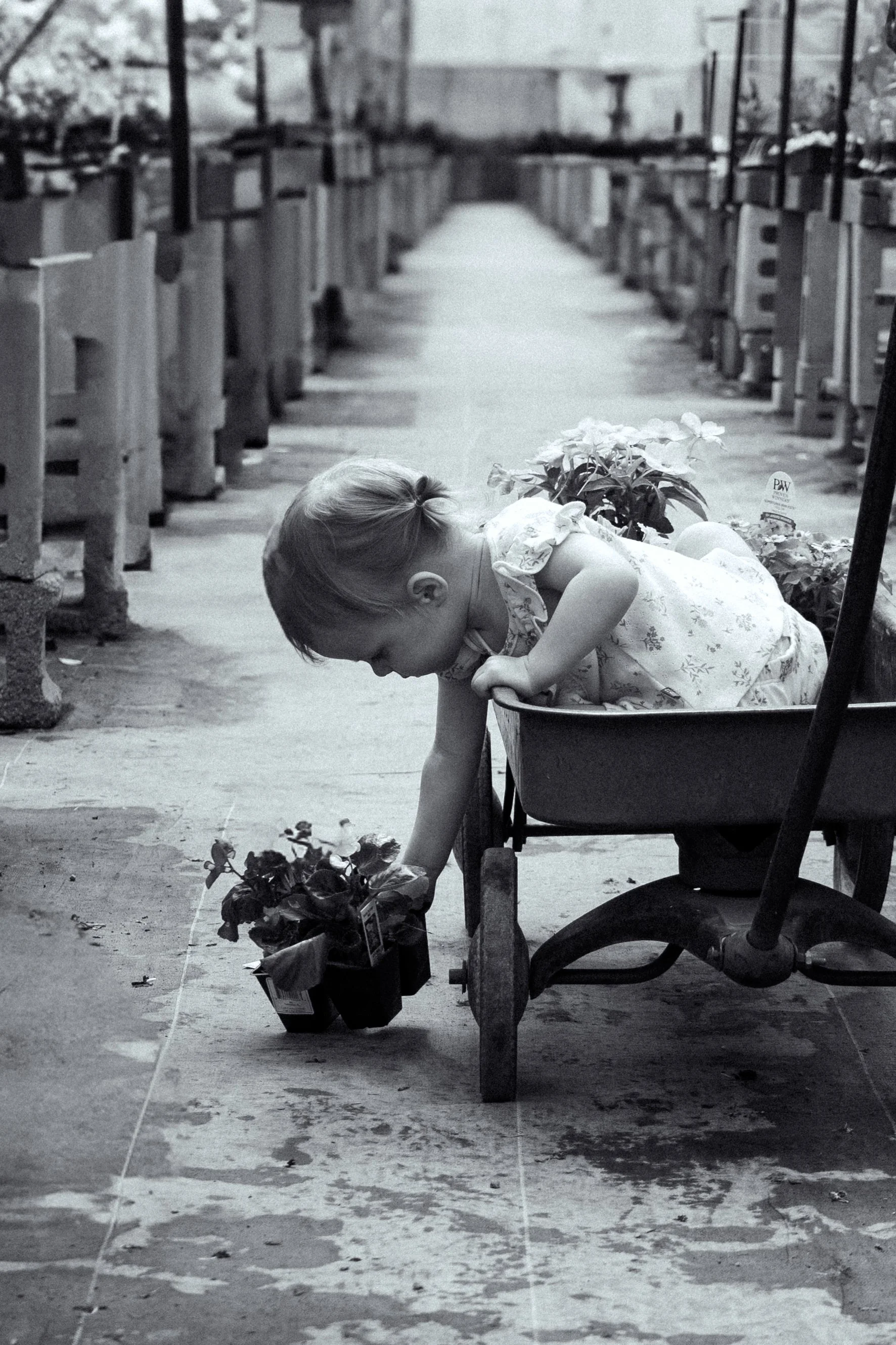 A young girl in a floral dress is kneeling in a wagon filled with flowers, leaning forward to pick up a small potted plant, in what appears to be a garden center or nursery.