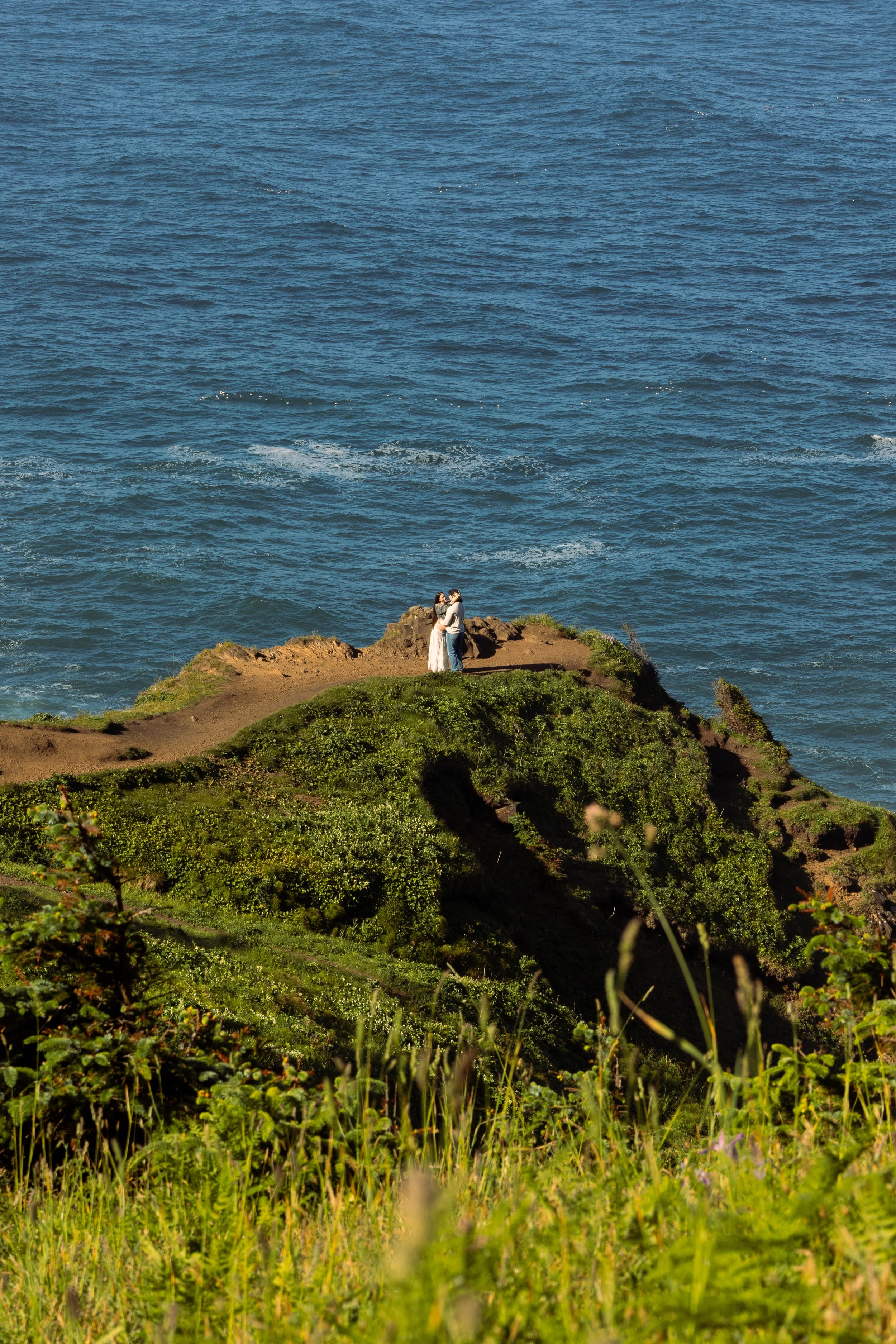 A couple in wedding attire standing on a grassy cliff overlooking the ocean.