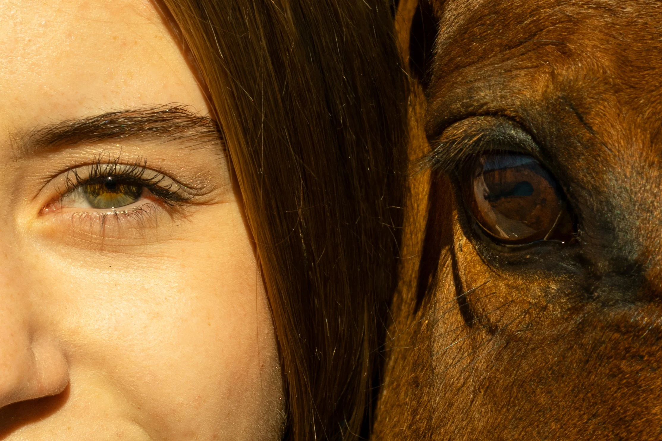 Close-up of a woman's face on the left side and a horse's face on the right side, showing their eyes and part of their facial features.