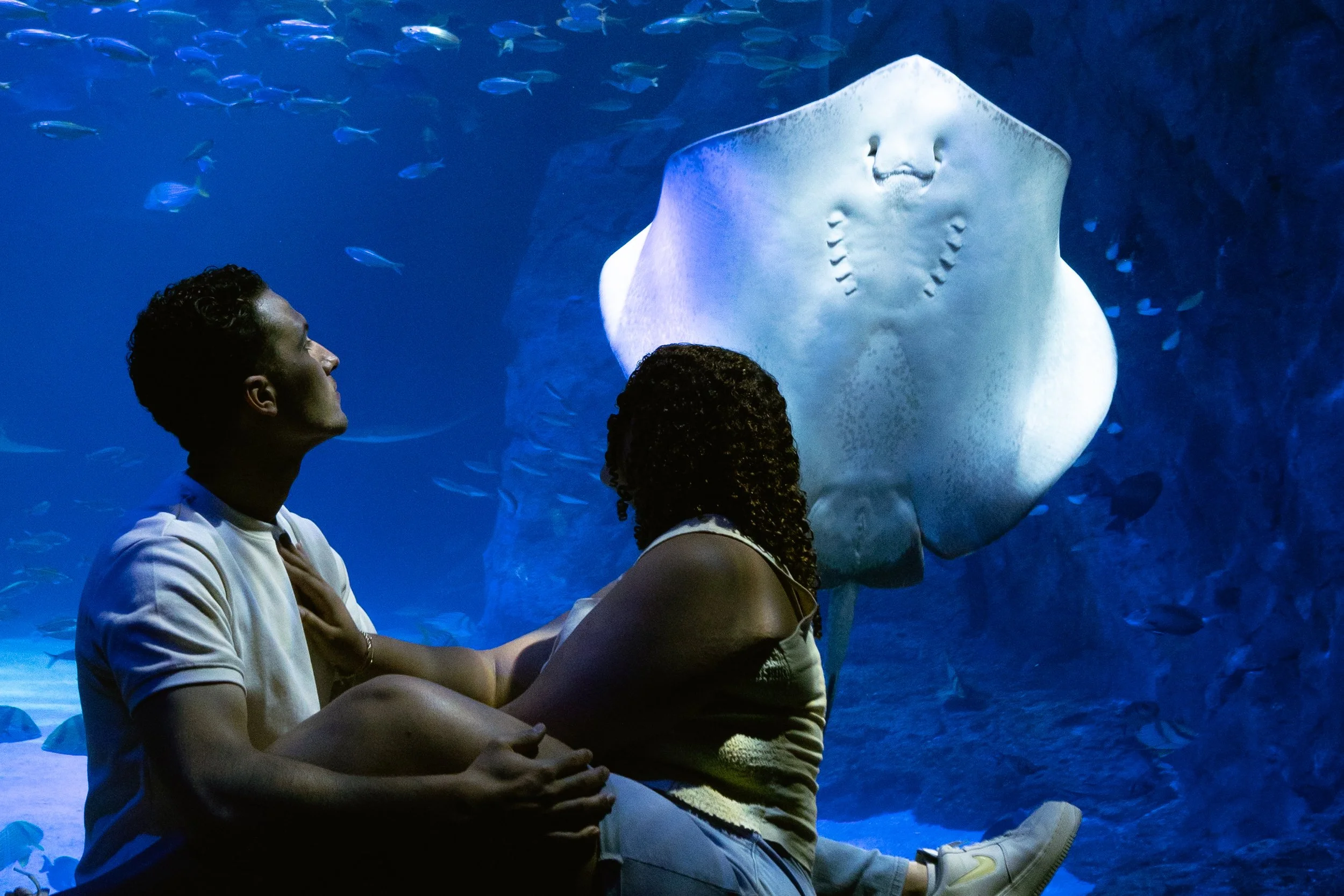 Two people sitting in front of a large stingray in an aquarium, with small fish swimming around.