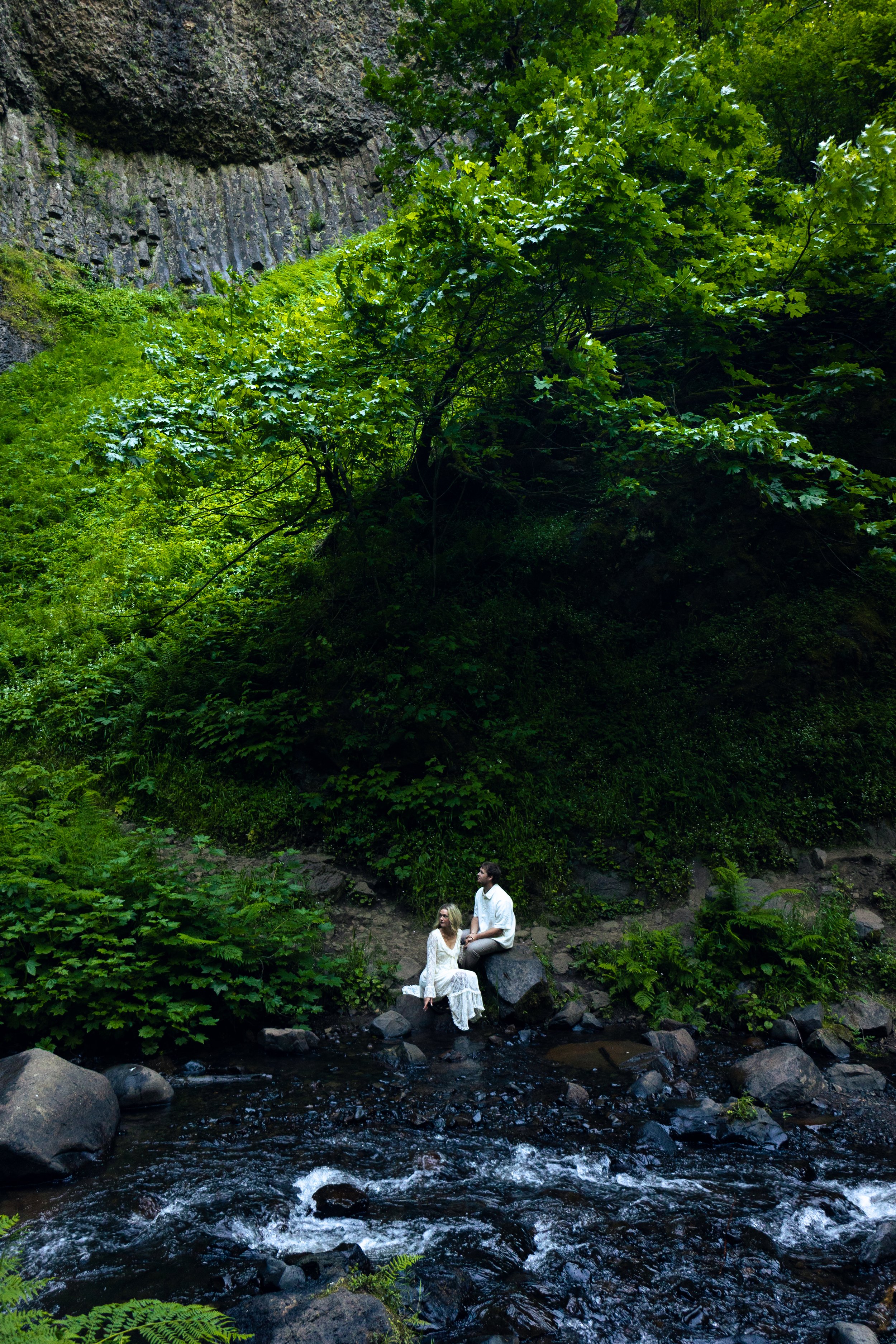 Two people sit on rocks beside a flowing stream in a lush green forest with large trees and dense foliage.