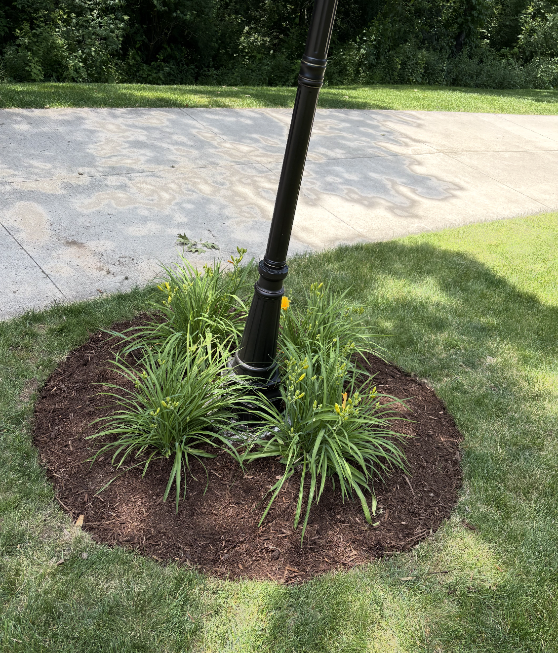 Screenshot 2026-02-10 at 10.46.02 AM.png