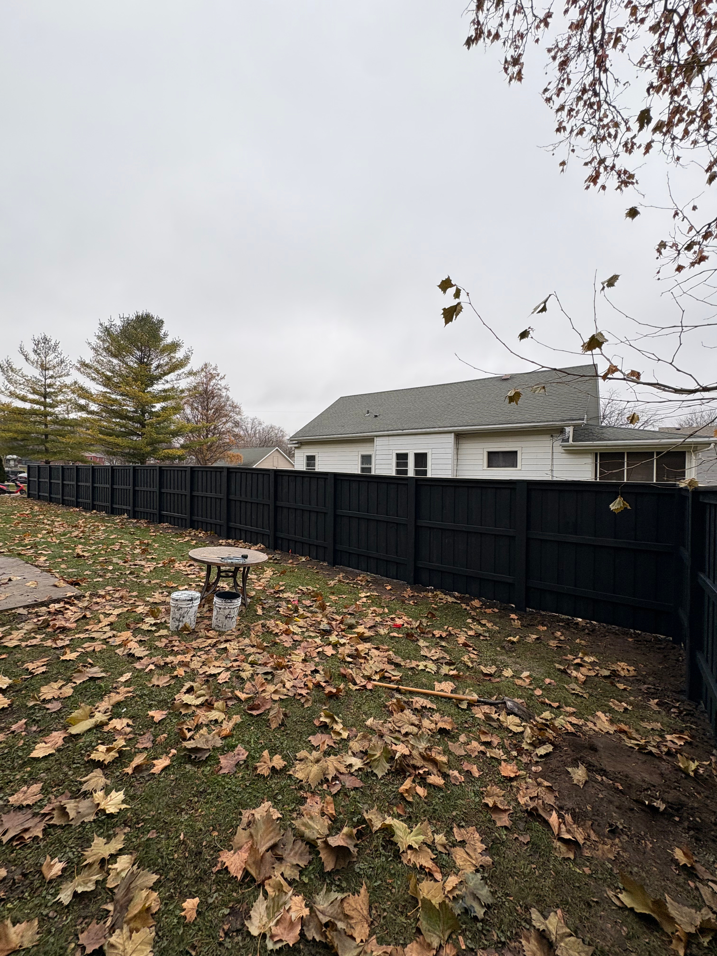 Untitled design (16).png