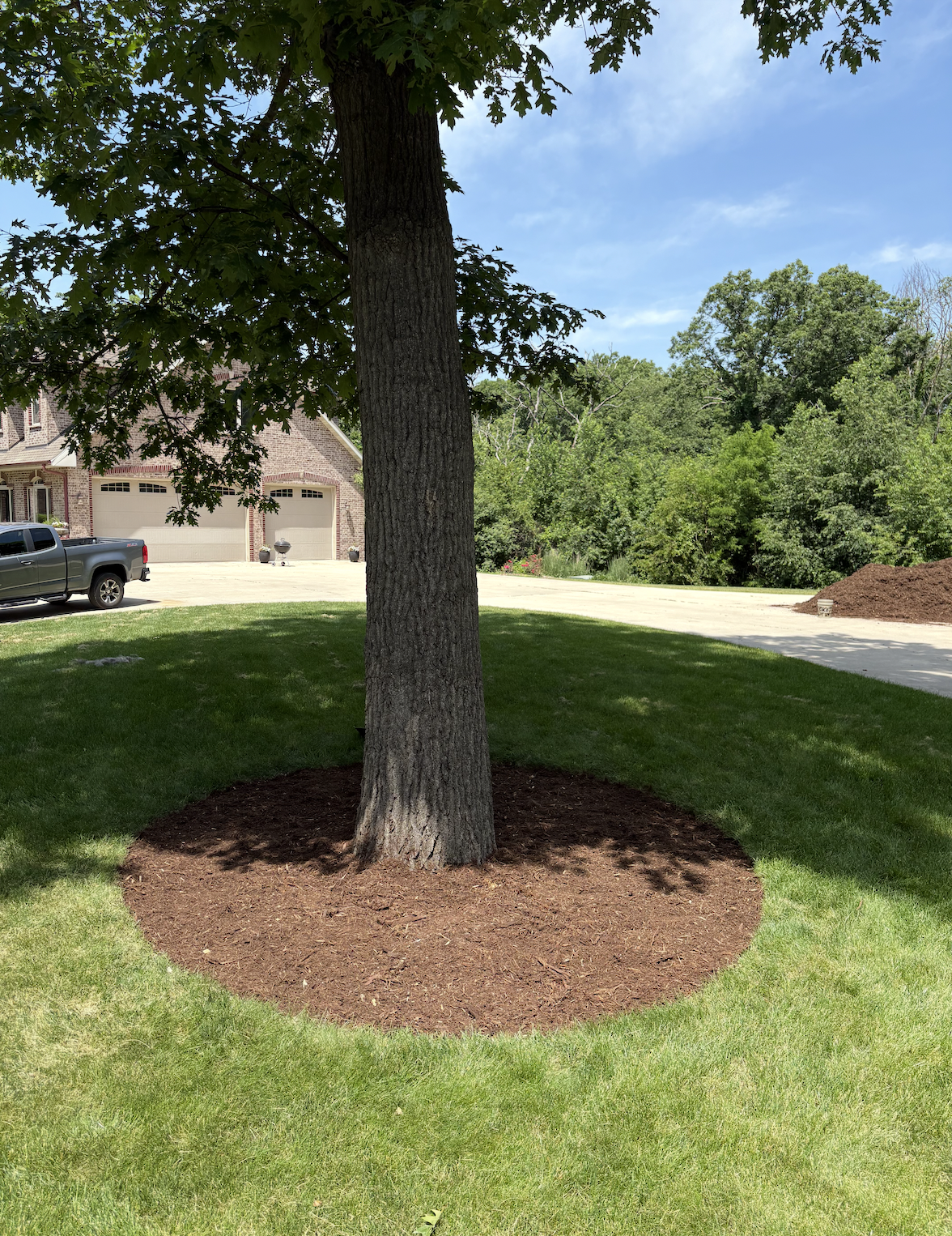 Screenshot 2026-02-10 at 10.46.17 AM.png