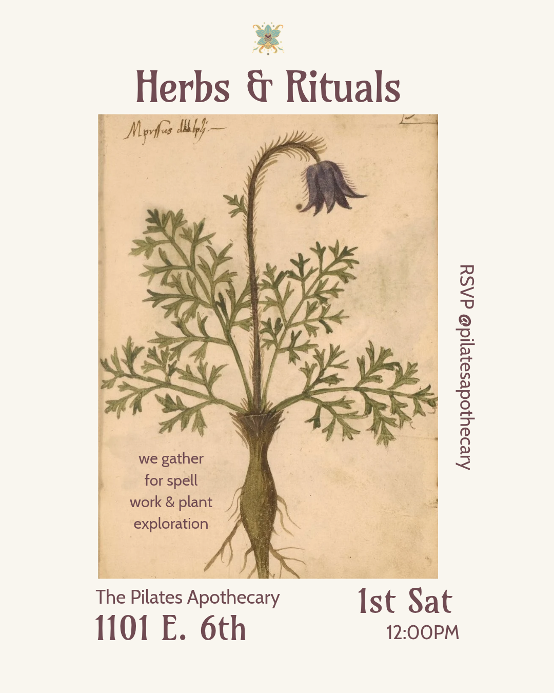 Herbs &amp; Rituals