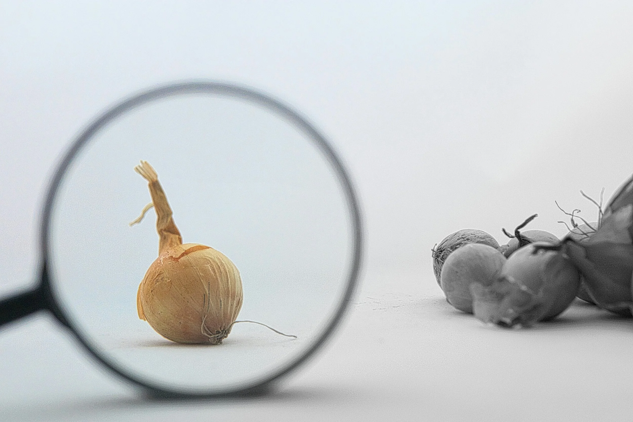Validating paid display advertising in B2B