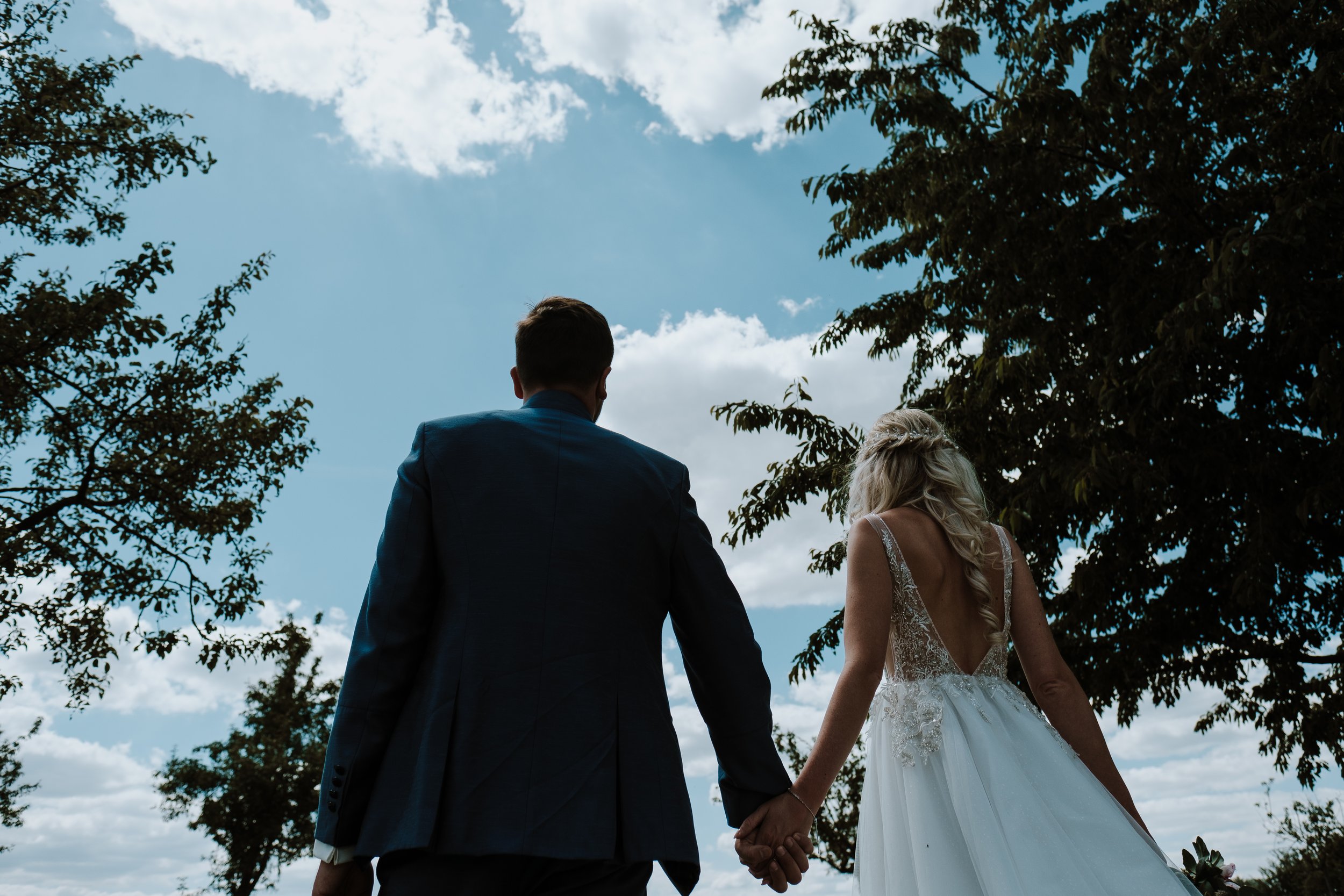 A couple dressed in wedding attire holding hands outdoors, seen from behind, with a sky and trees in the background.
