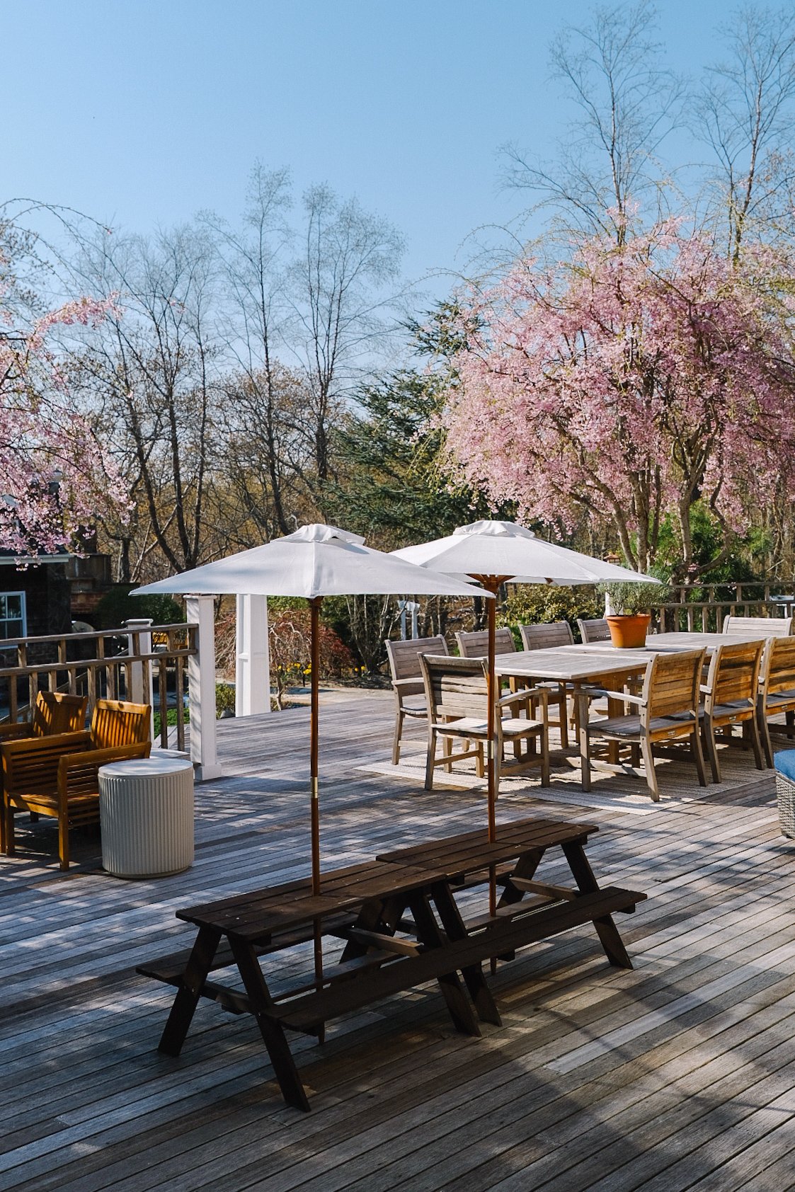 A Southampton's estate outdoor wooden deck with picnic tables, chairs, white umbrellas, and blooming pink cherry blossom trees in the background.