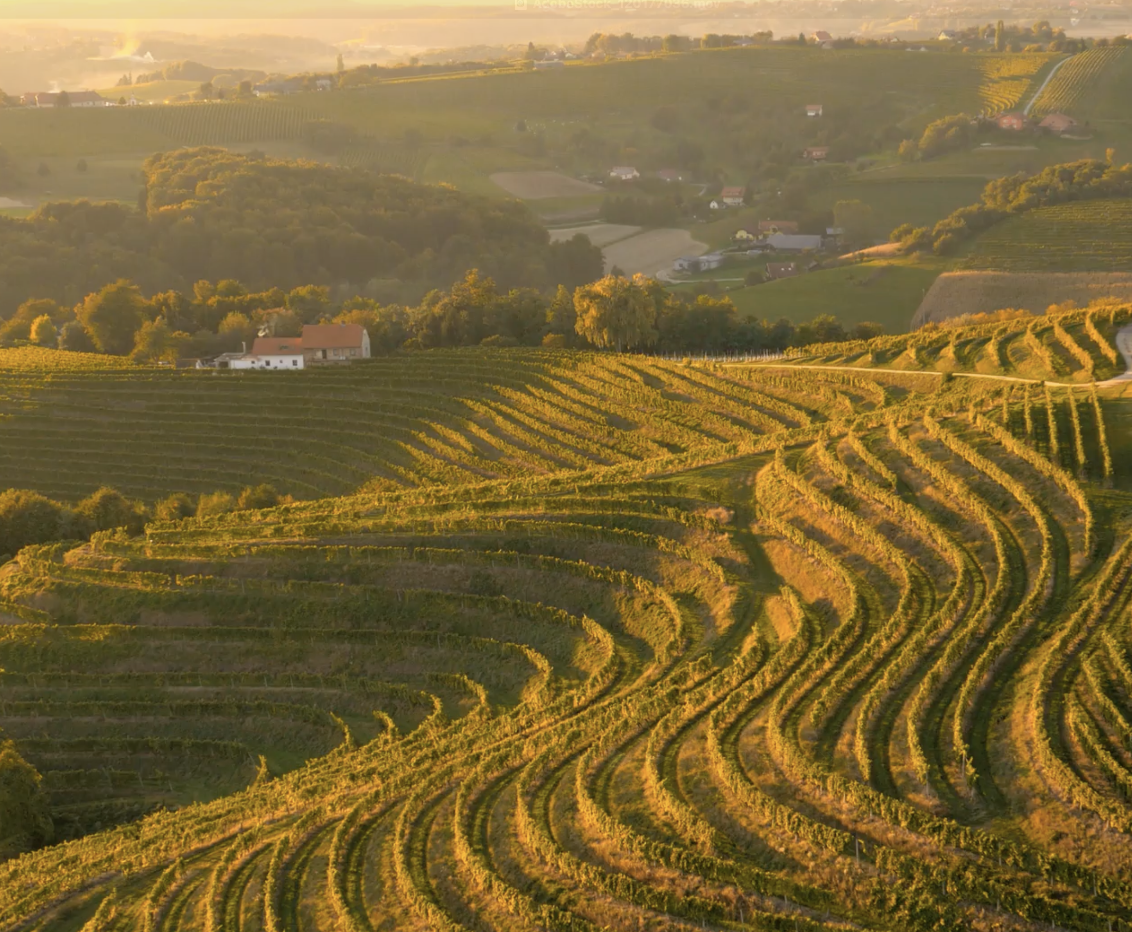 Napa Valley - October 15-19, 2026