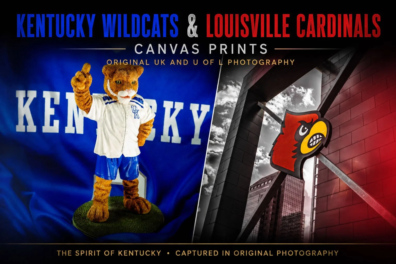 UK Wildcats &amp; Louisville Cardinals Canvas Prints