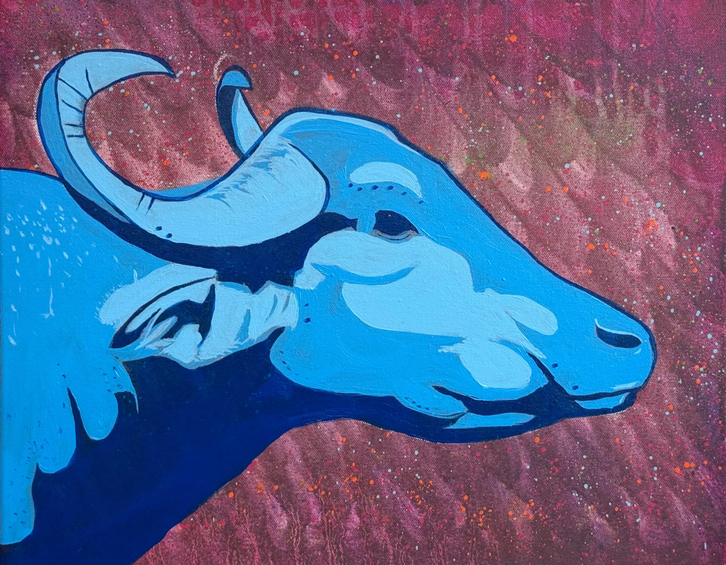 cosmic carabao