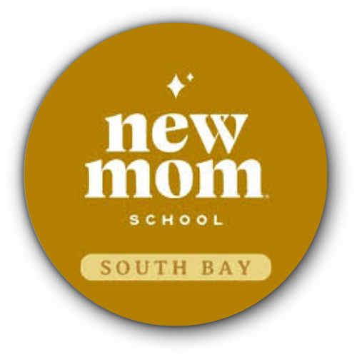 new mom school south bay in san jose california vendor for adrouny village wellness birth and family fair