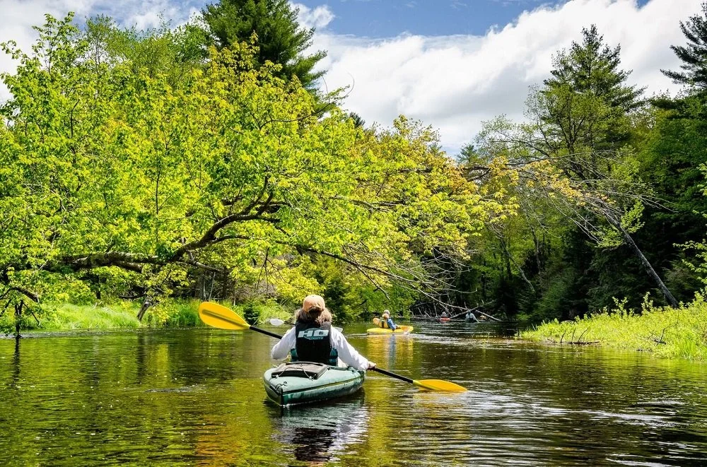 paddling-the-high-Branch-River-in-2017-resized.jpg