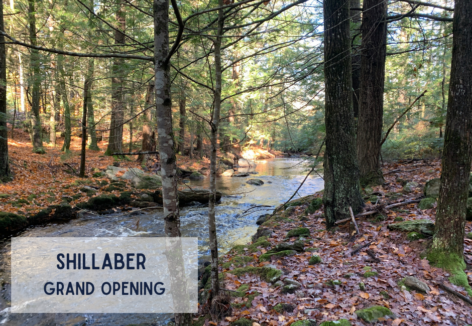 Shillaber Grand Opening