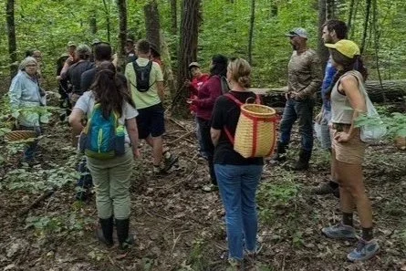 Guided Fungi Walk with NHMS Experienced Foragers & Milton Conservation Commission