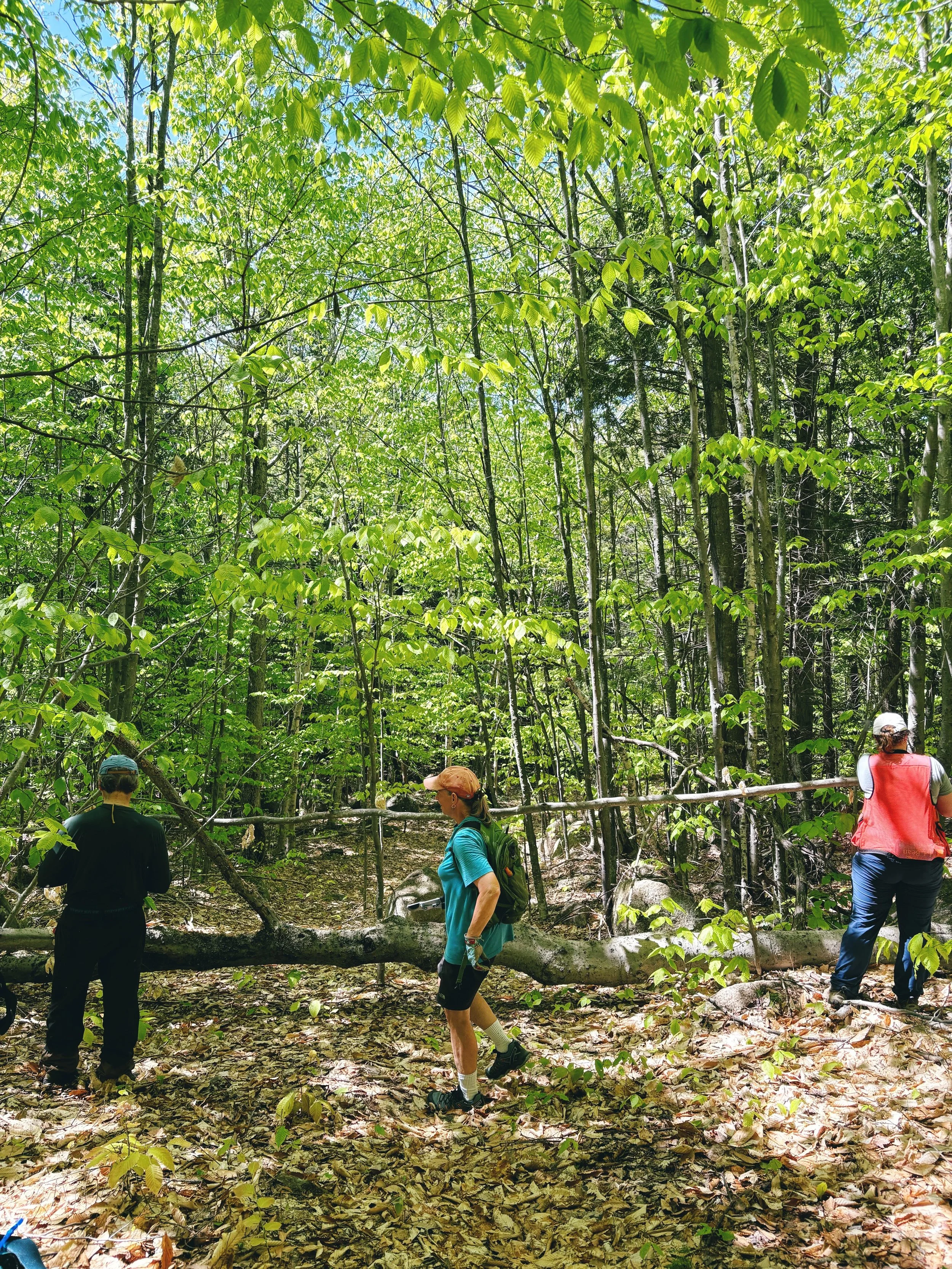 Thurley Mountain Preserve Fall Clean Up
