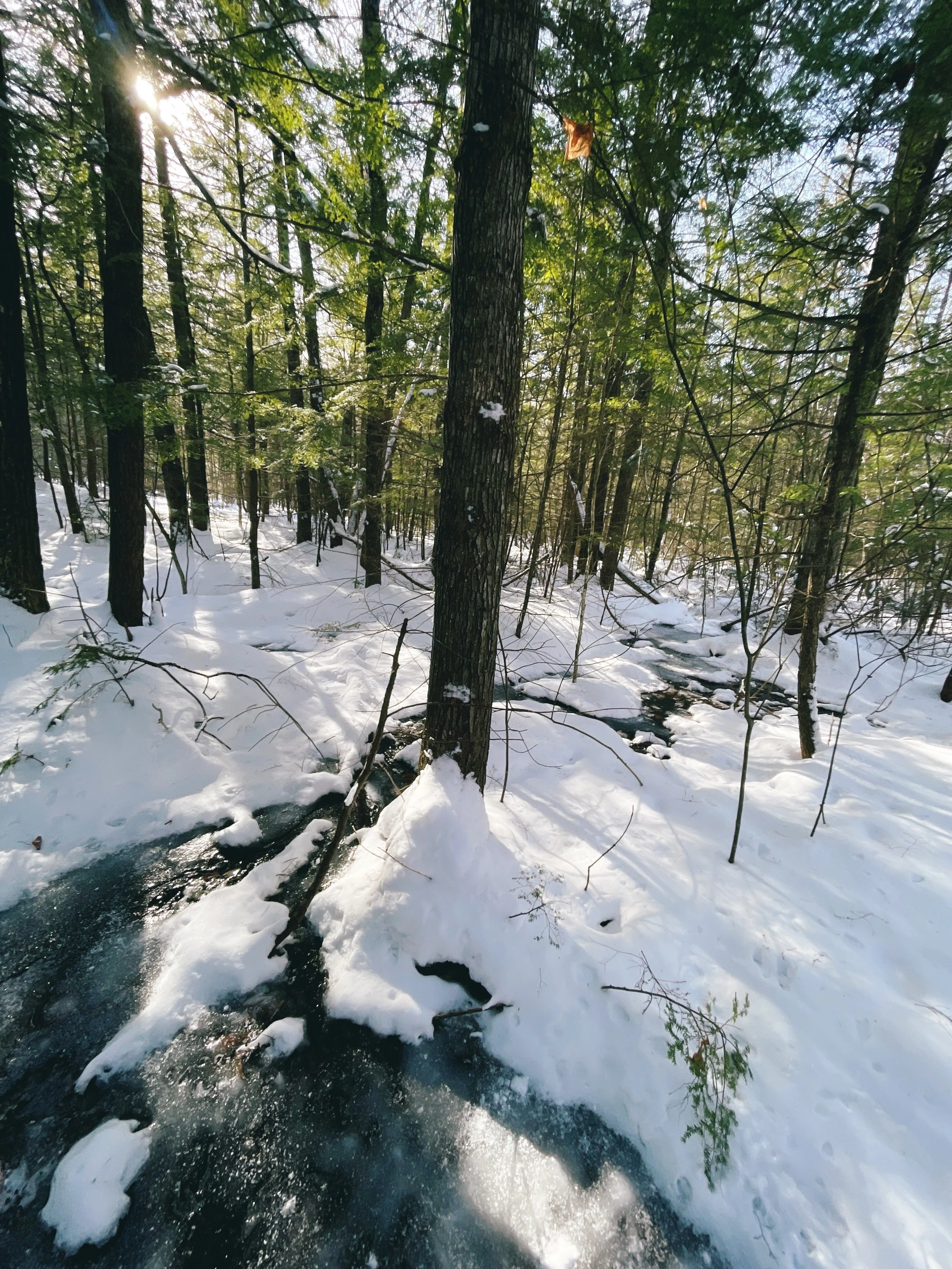 Winter photo.JPG