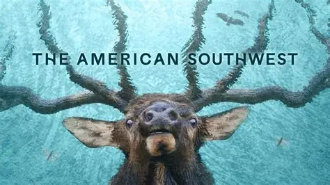 American Southwest Movie Screening