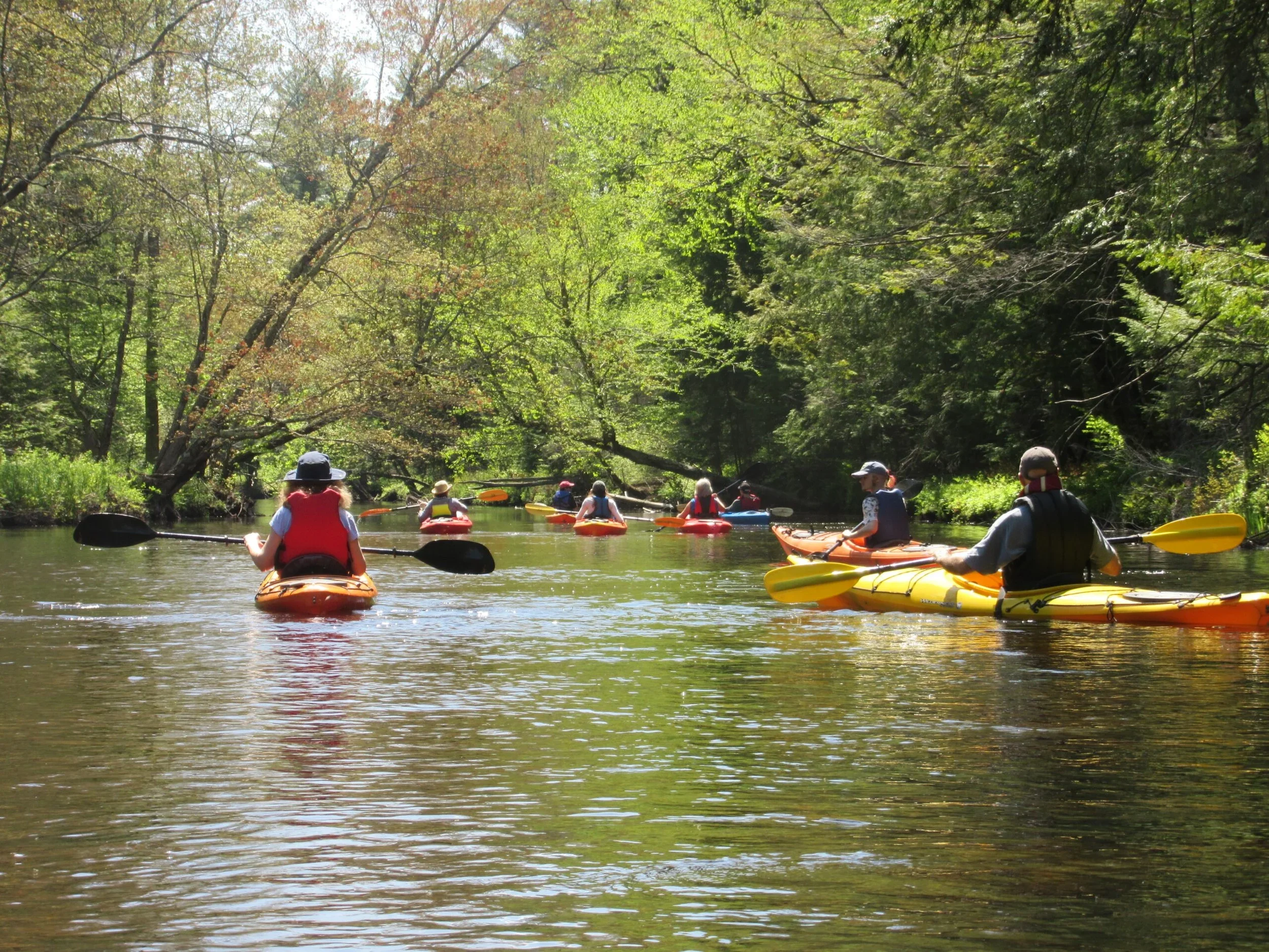Branch River Paddle