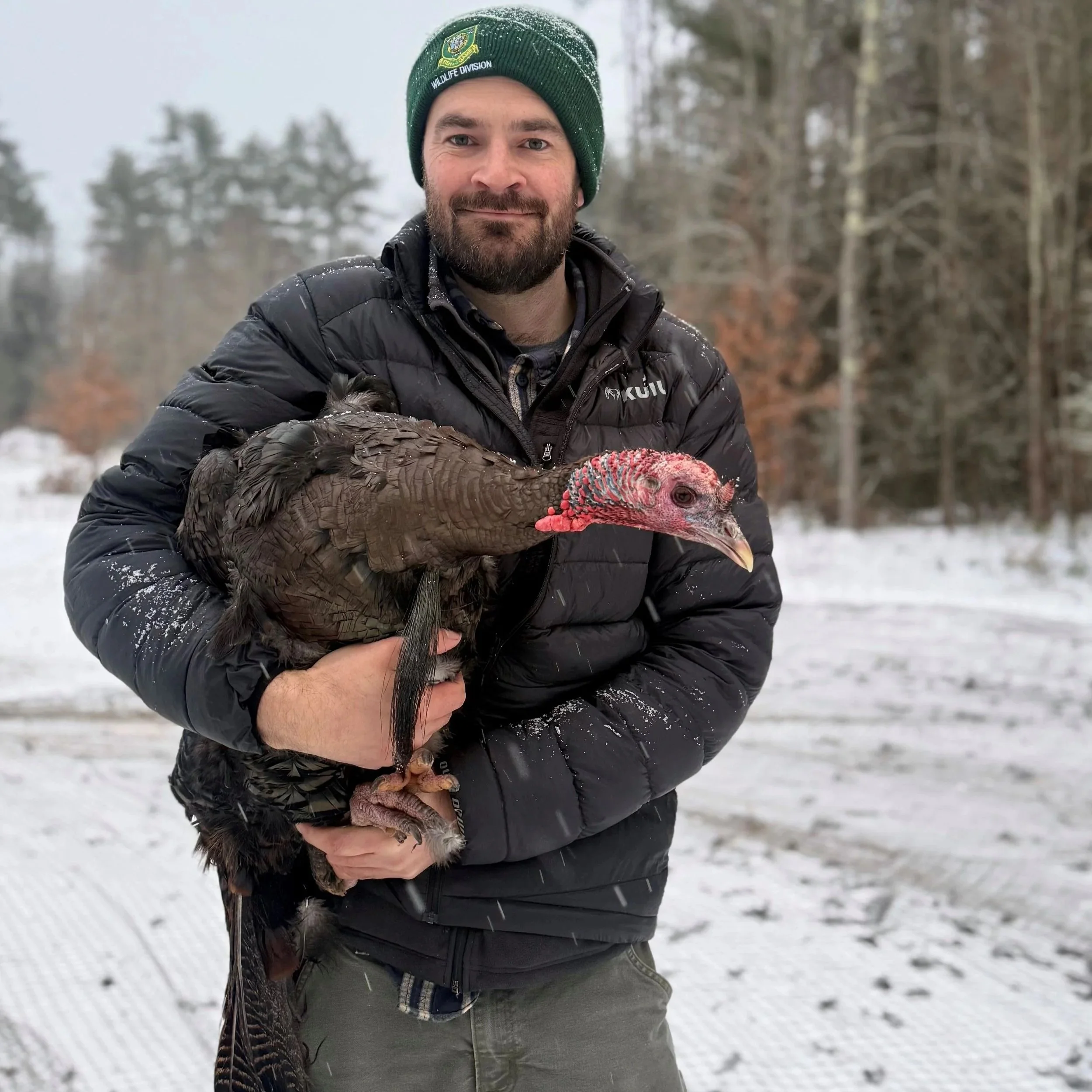 Turkey Talk with Dan Ellingwood