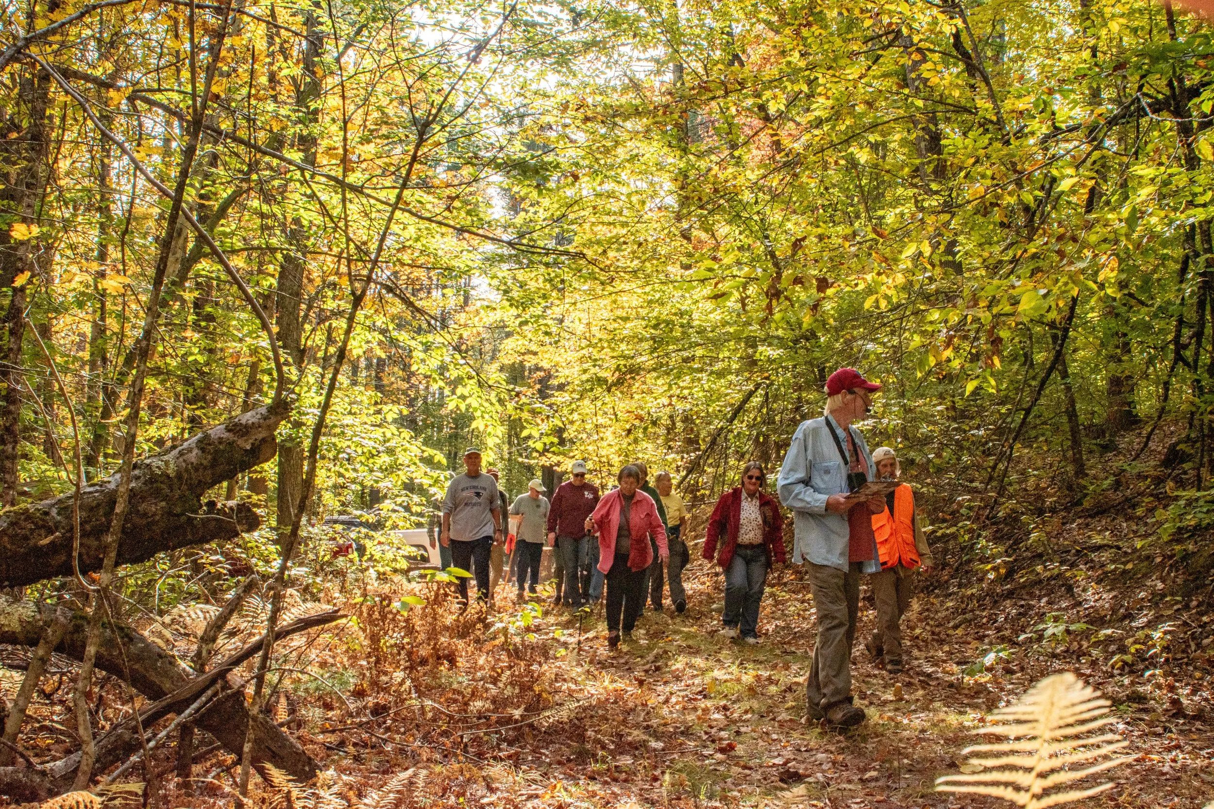 Hraba Forest Spring Clean-Up